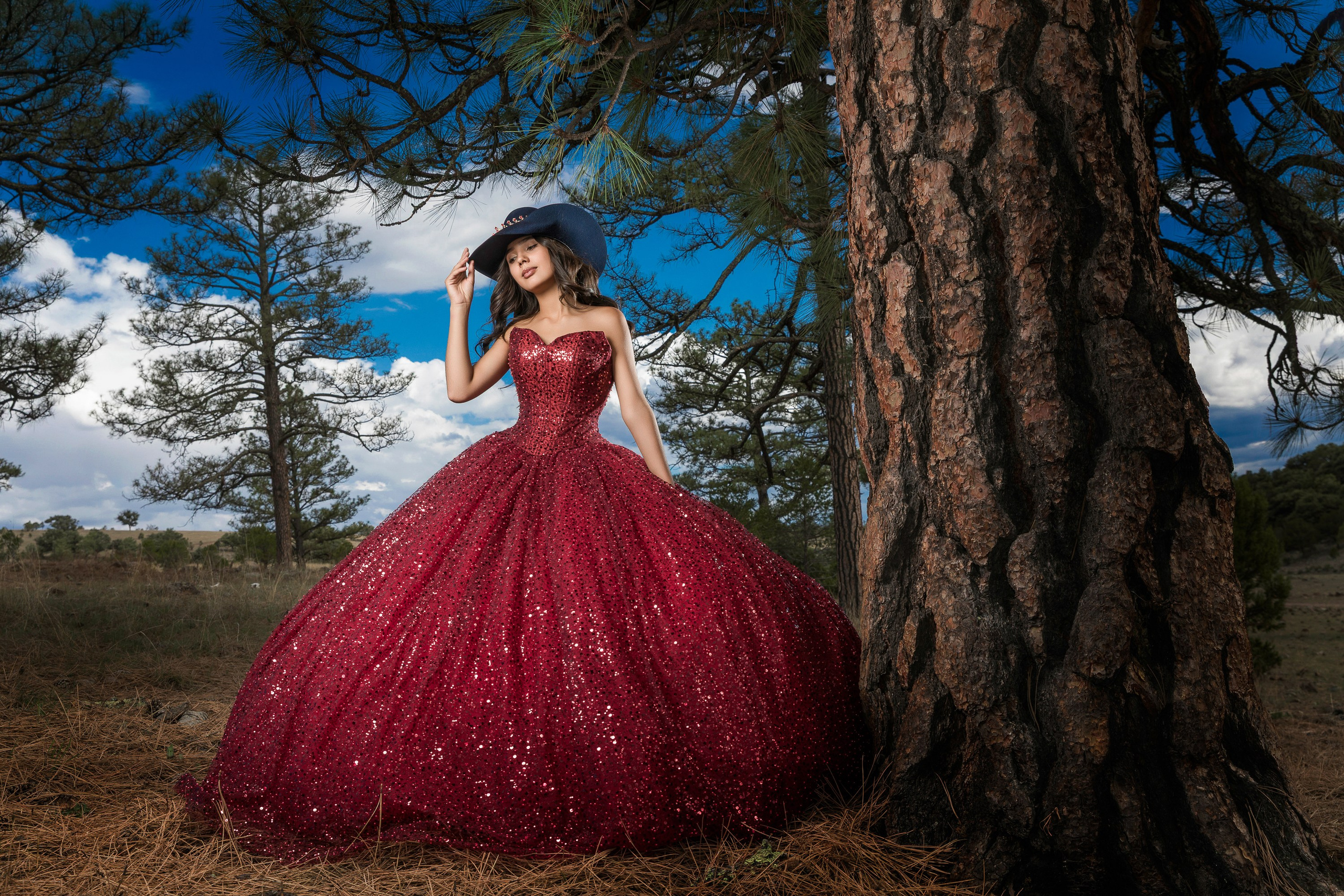 Quinceañeras. Professional Photographer in Chihuahua, Mexico — Alex Mendoza