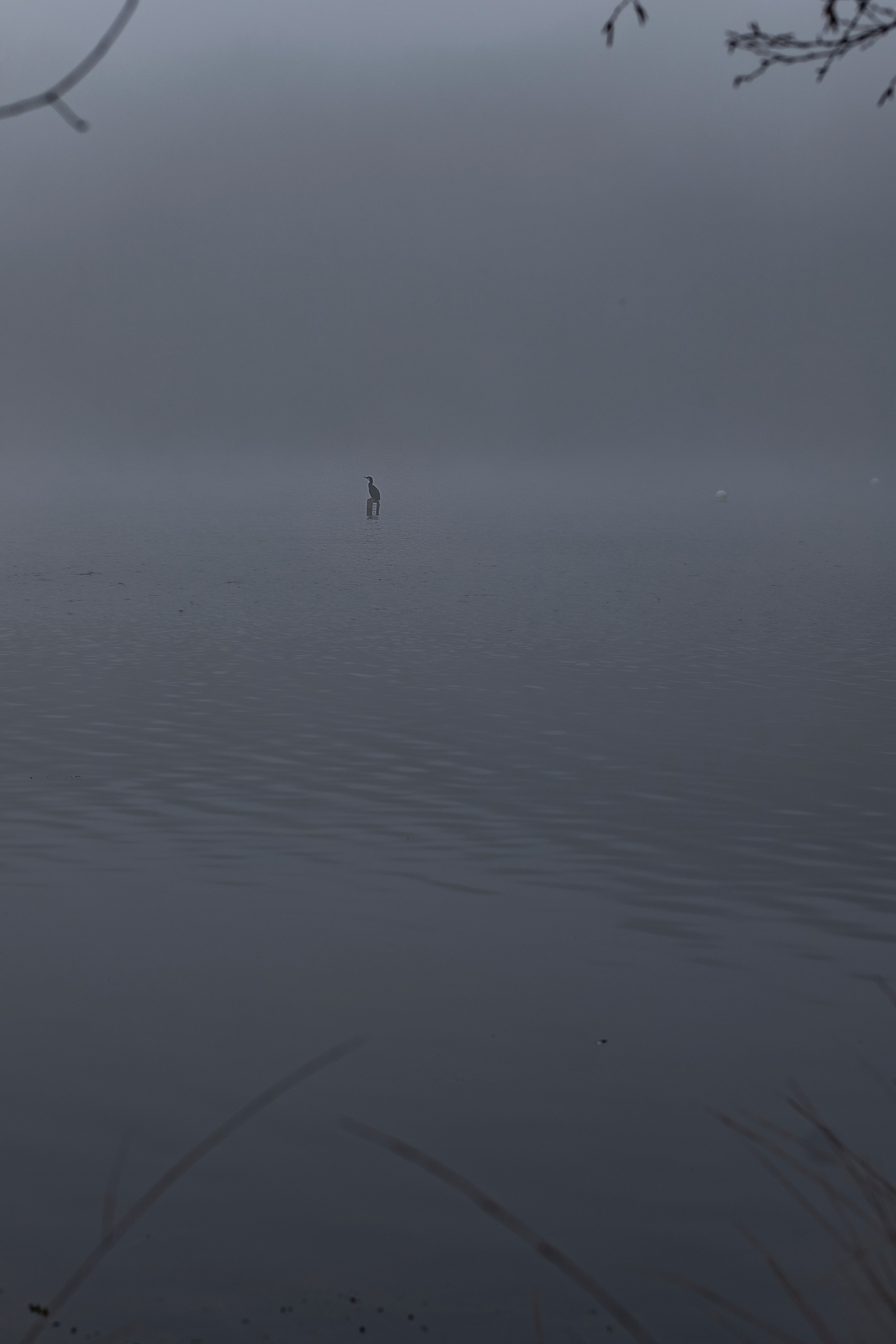 Paysages. Portrais créatifs de familles et individuels, Ile et Vilaine, France