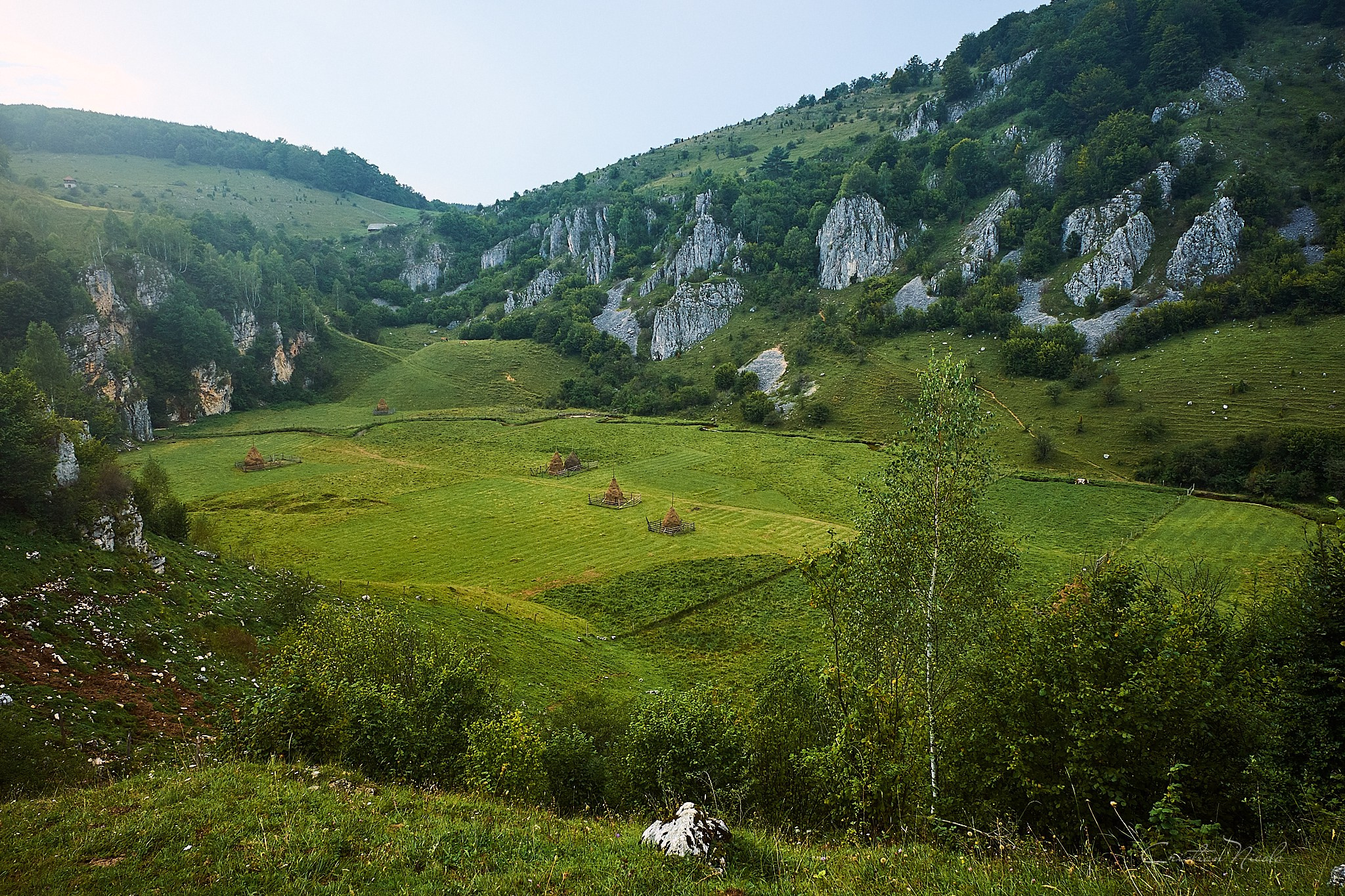Fundătura Ponorului, jud. Humedoara. Pagina principală