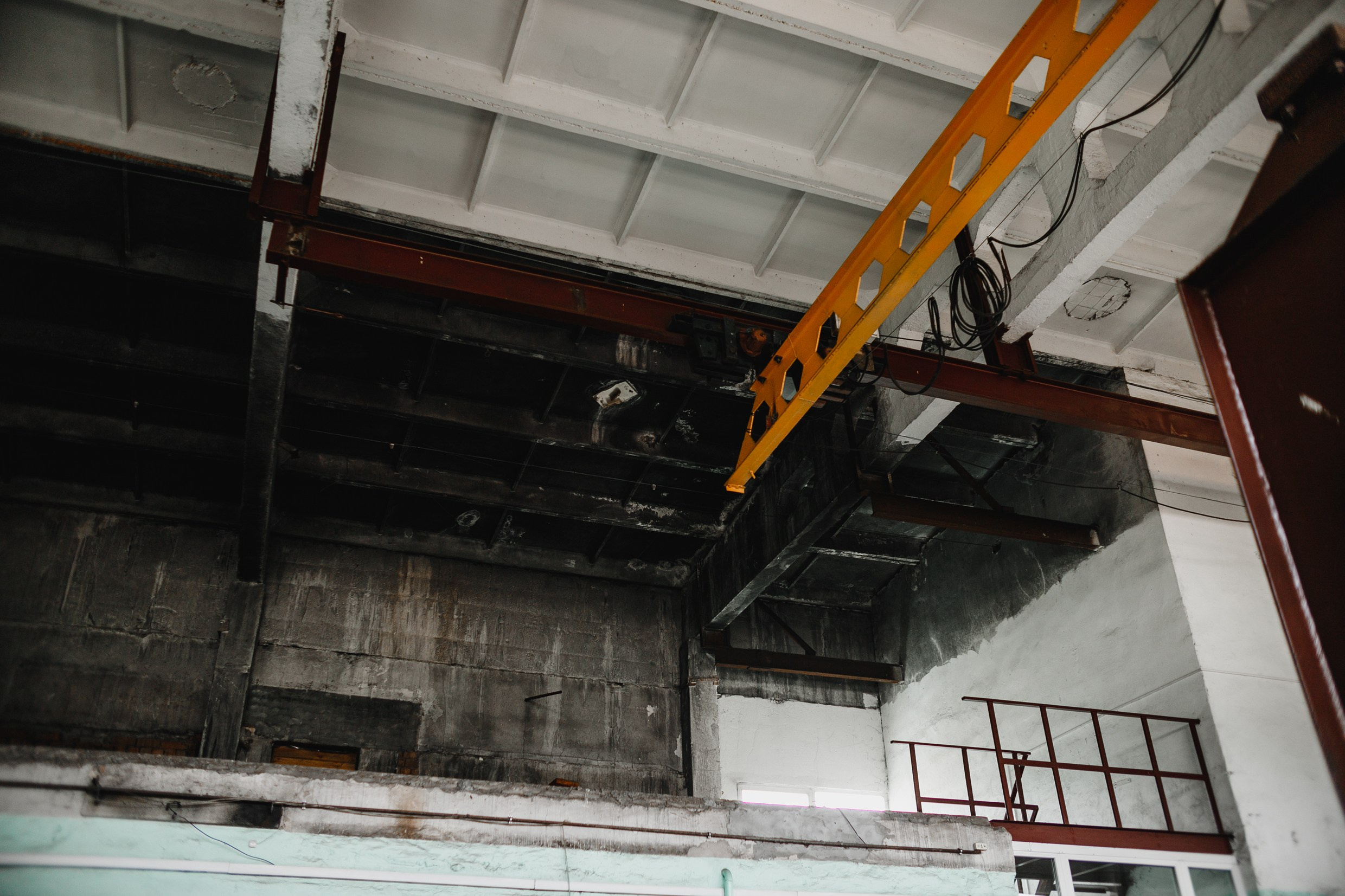 Narrow-gauge railway trip. Kaja | fotograf psów we Wrocławiu