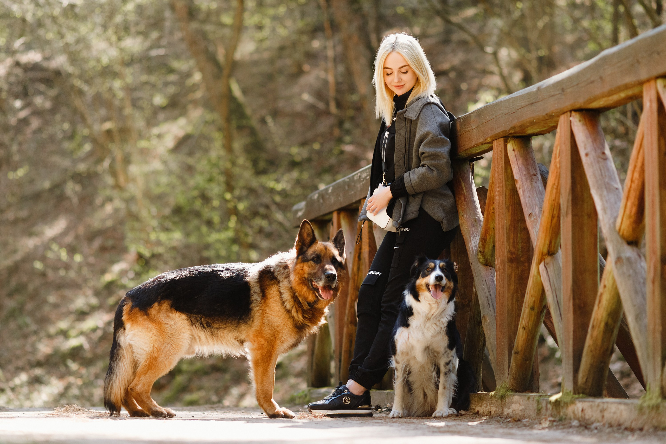 Dog trainer blog content. Kaja | fotograf we Wrocławiu | ludzie i psy