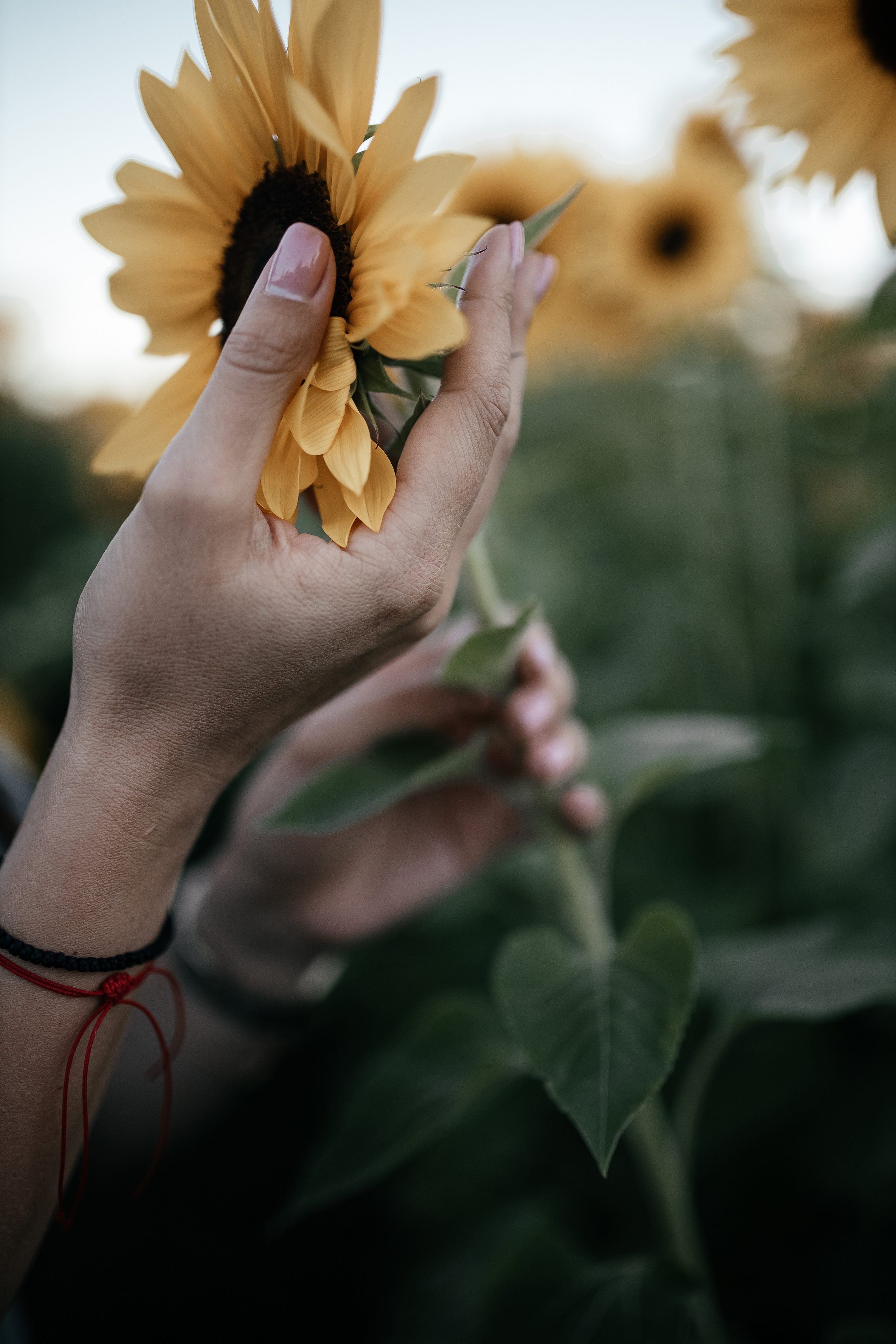 Fotografin. Familien-, Hochzeits- und Newbornfotografin Neustadt an der Weinstraße