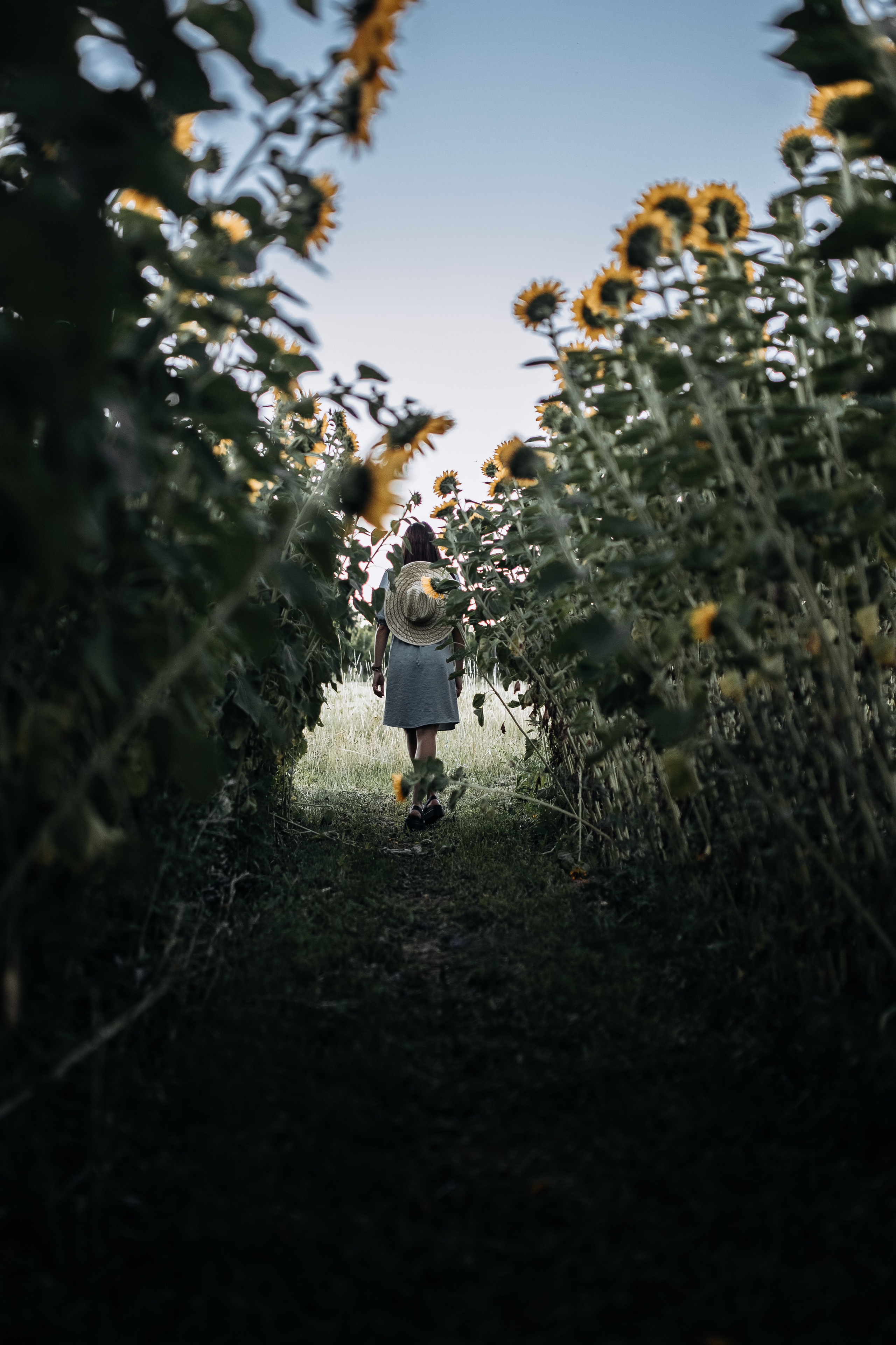 Fotografin. Familien-, Hochzeits- und Newbornfotografin Neustadt an der Weinstraße
