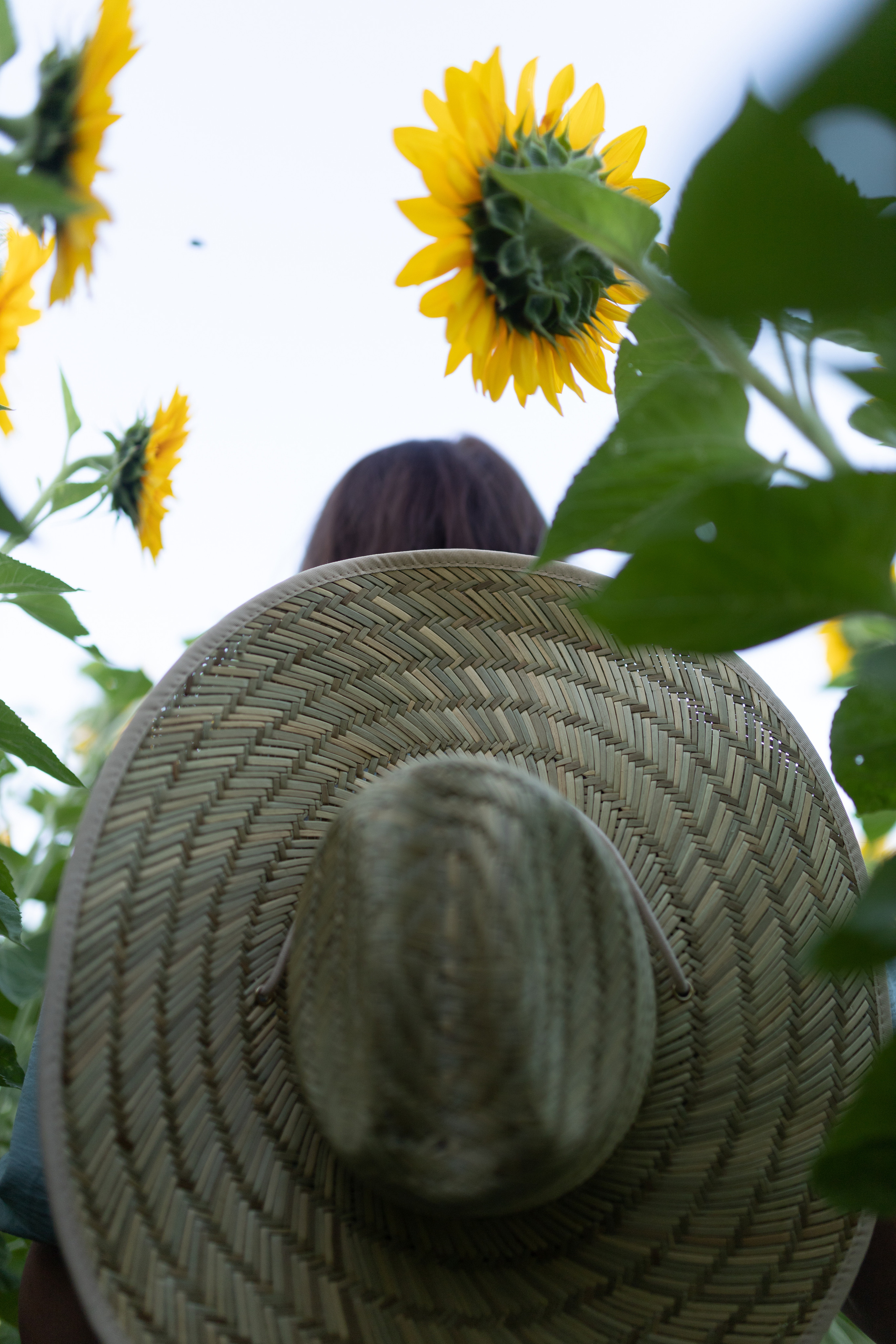 Fotografin. Familien-, Hochzeits- und Newbornfotografin Neustadt an der Weinstraße