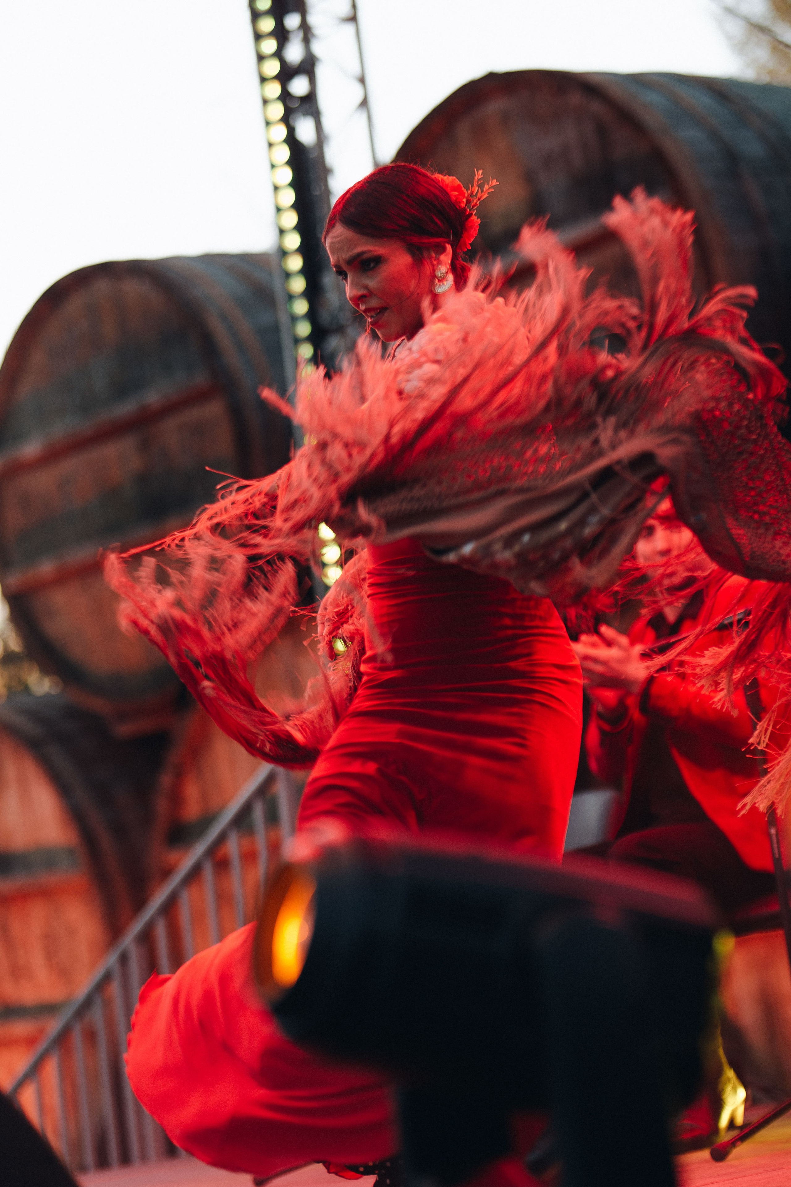 MEYSARI WINE FESTIVAL. Wedding&Event photographer Ismail Rzayev in Baku