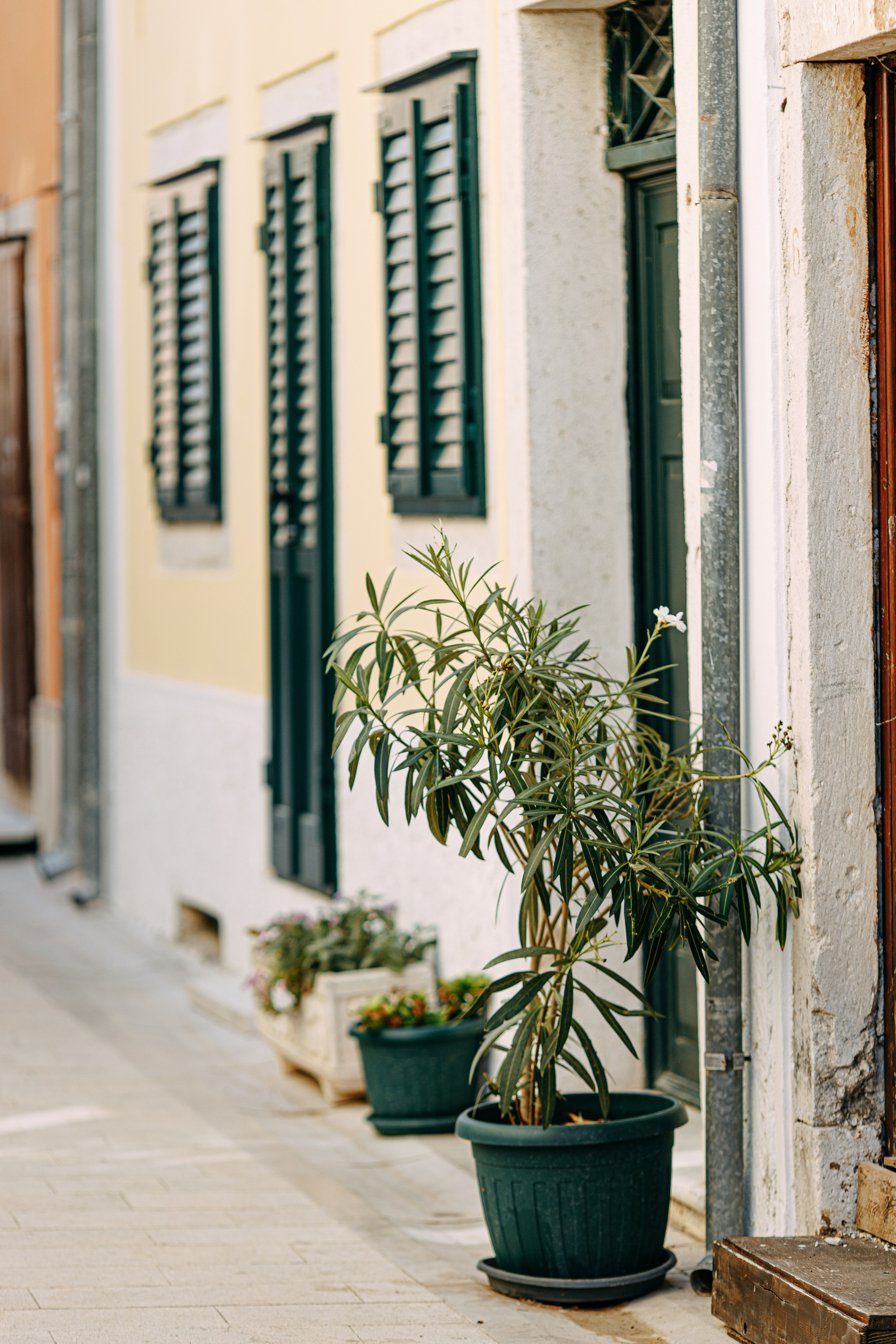 Love Kroatien. Professionele fotografin in Münsingen Olesia Wegele