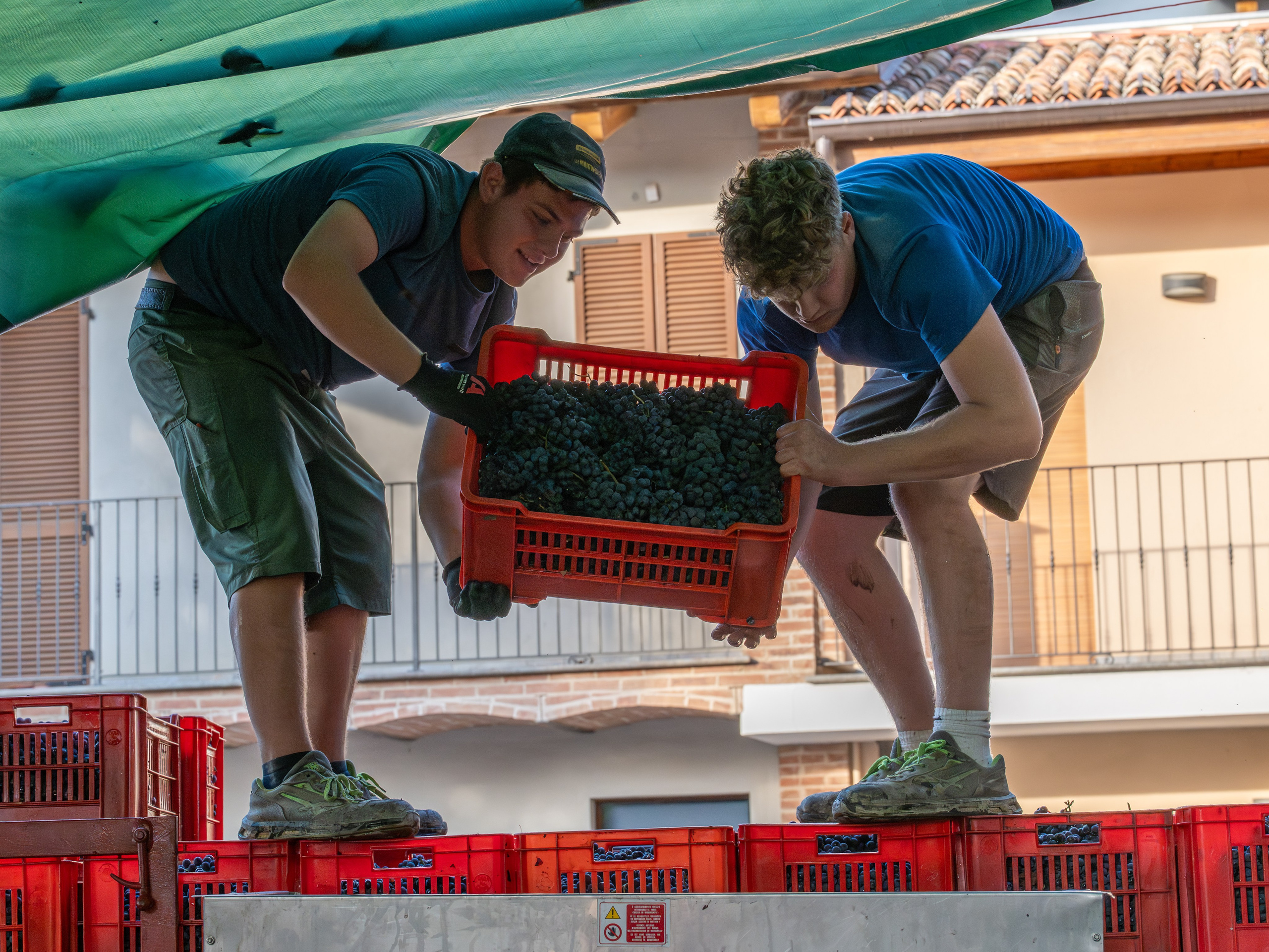 Cantine Boasso Serralunga. “Gianmaria Coscia fotografo per passione”