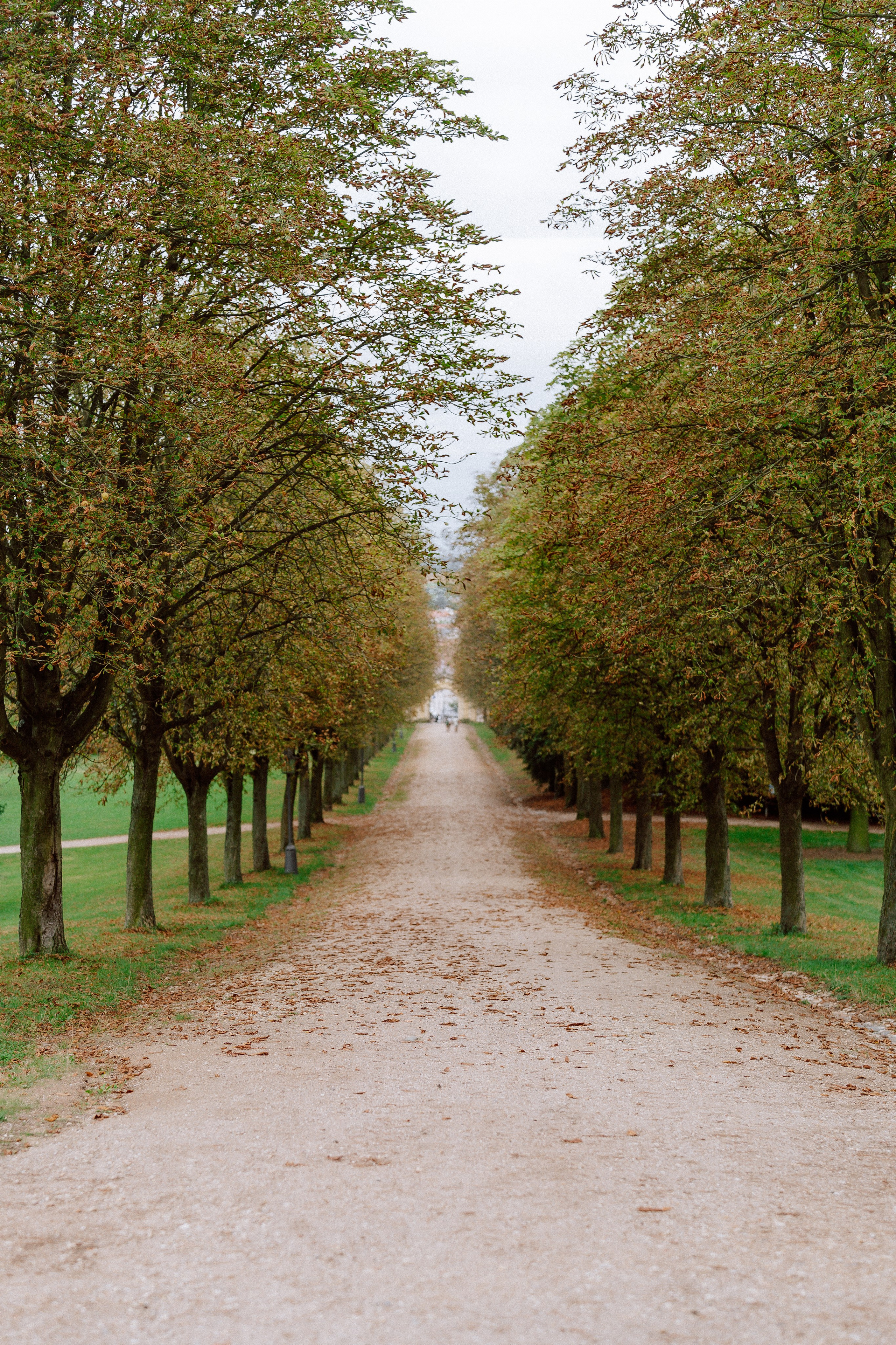Wedding at Chateau Karlova Koruna