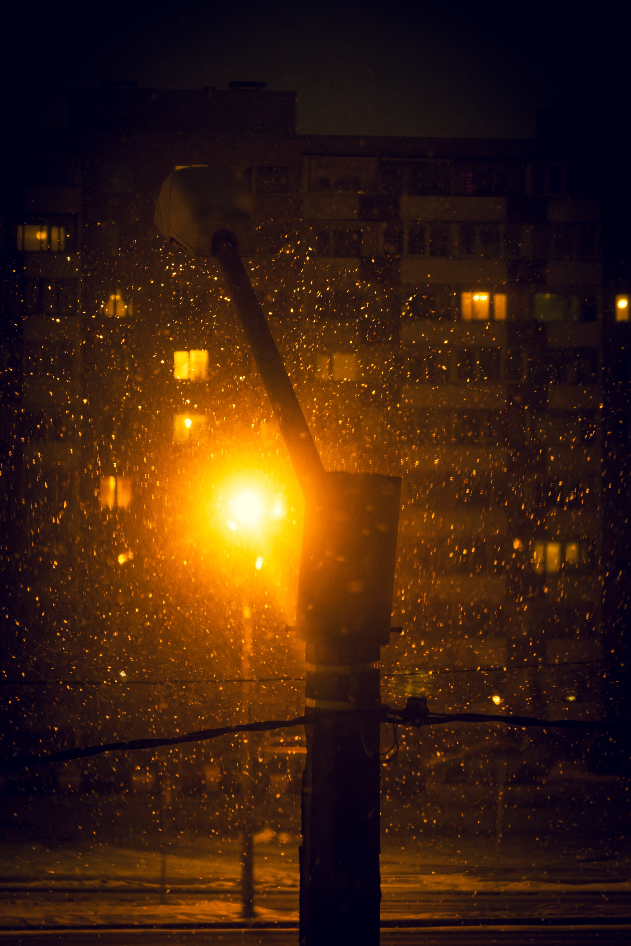 Eelmine öö. Nebula 25 — Fotod teie hingele