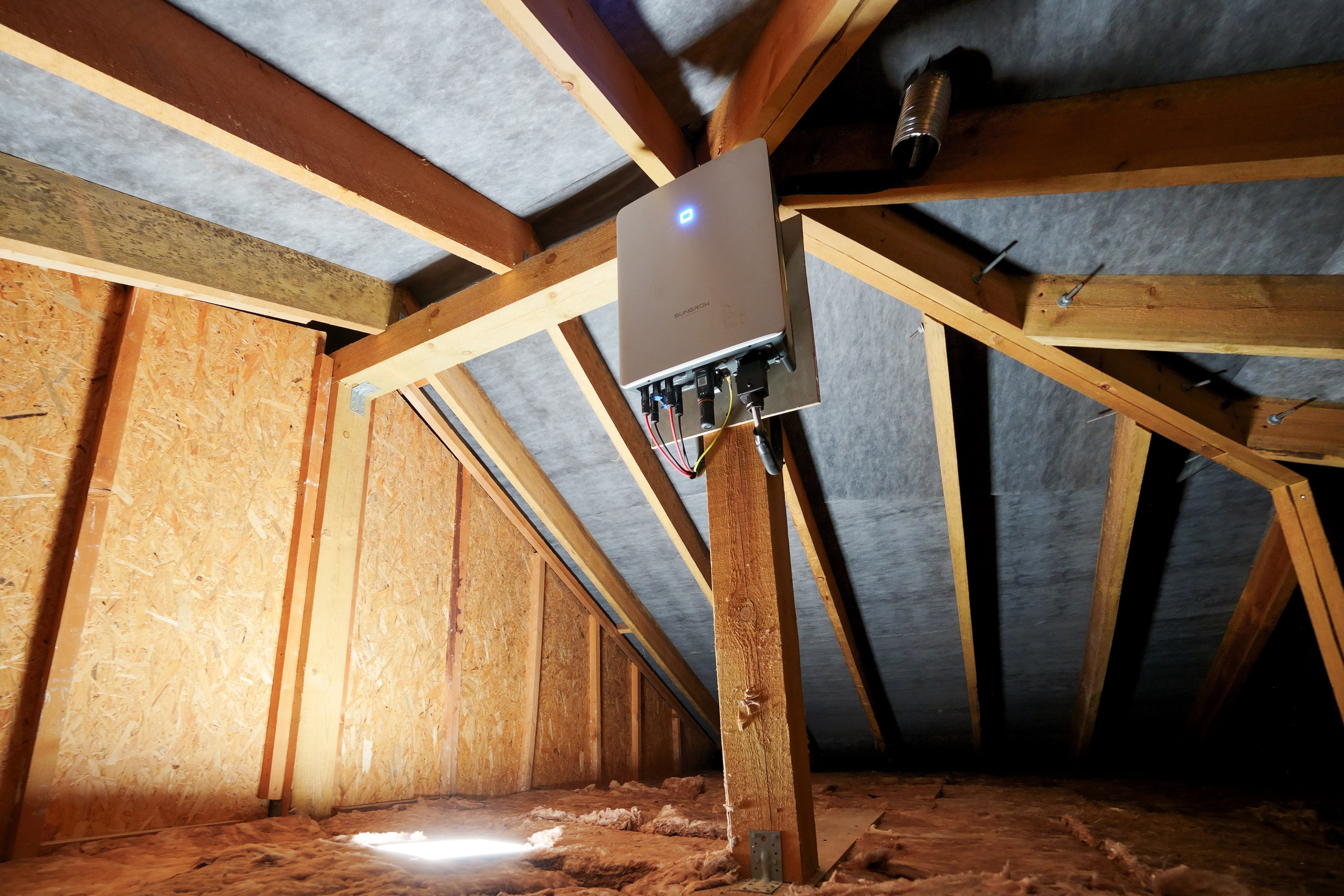 Tarandė. Elina Sapiega fotografė Vilniuje