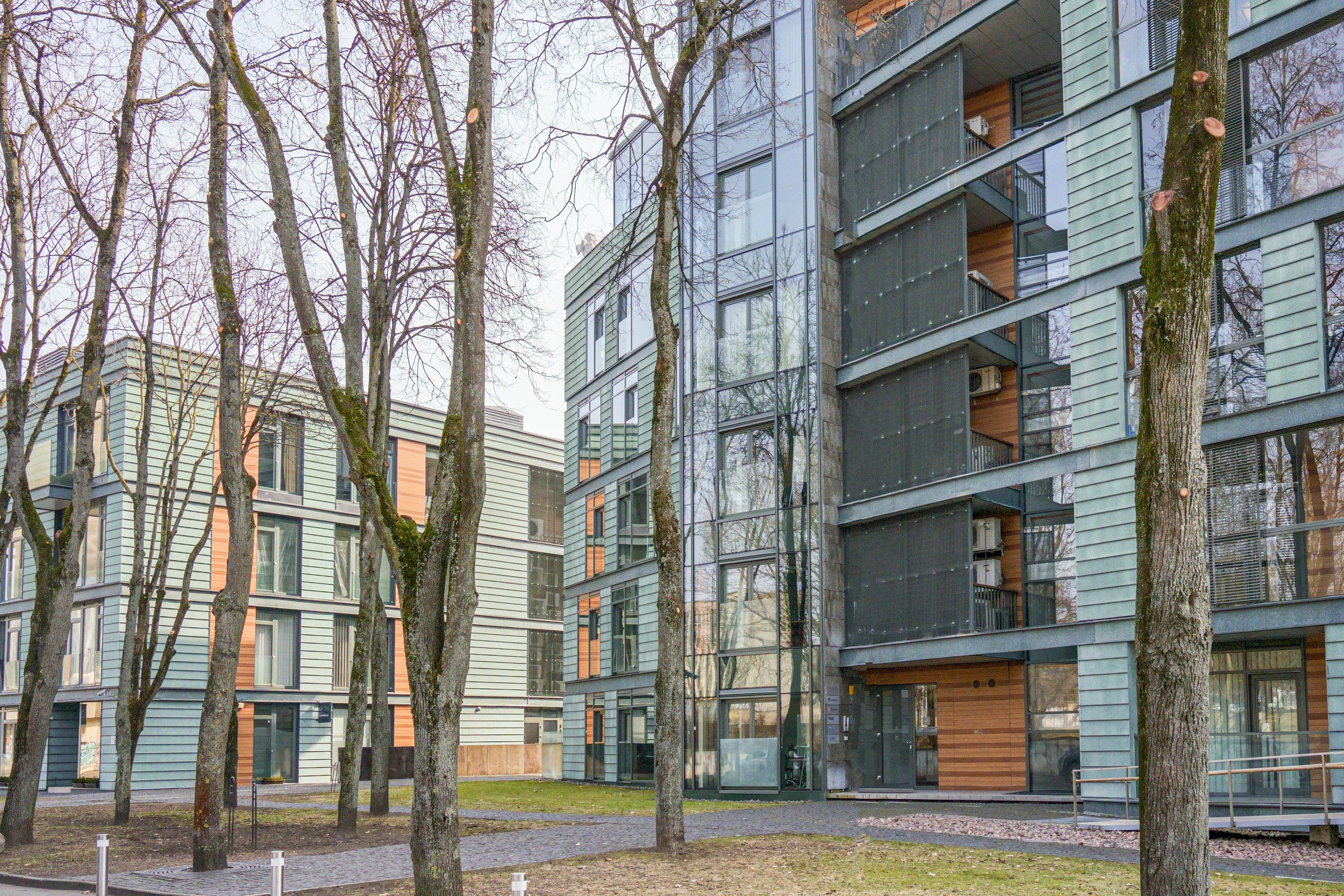 Olimpiečių 1. Elina Sapiega fotografė Vilniuje