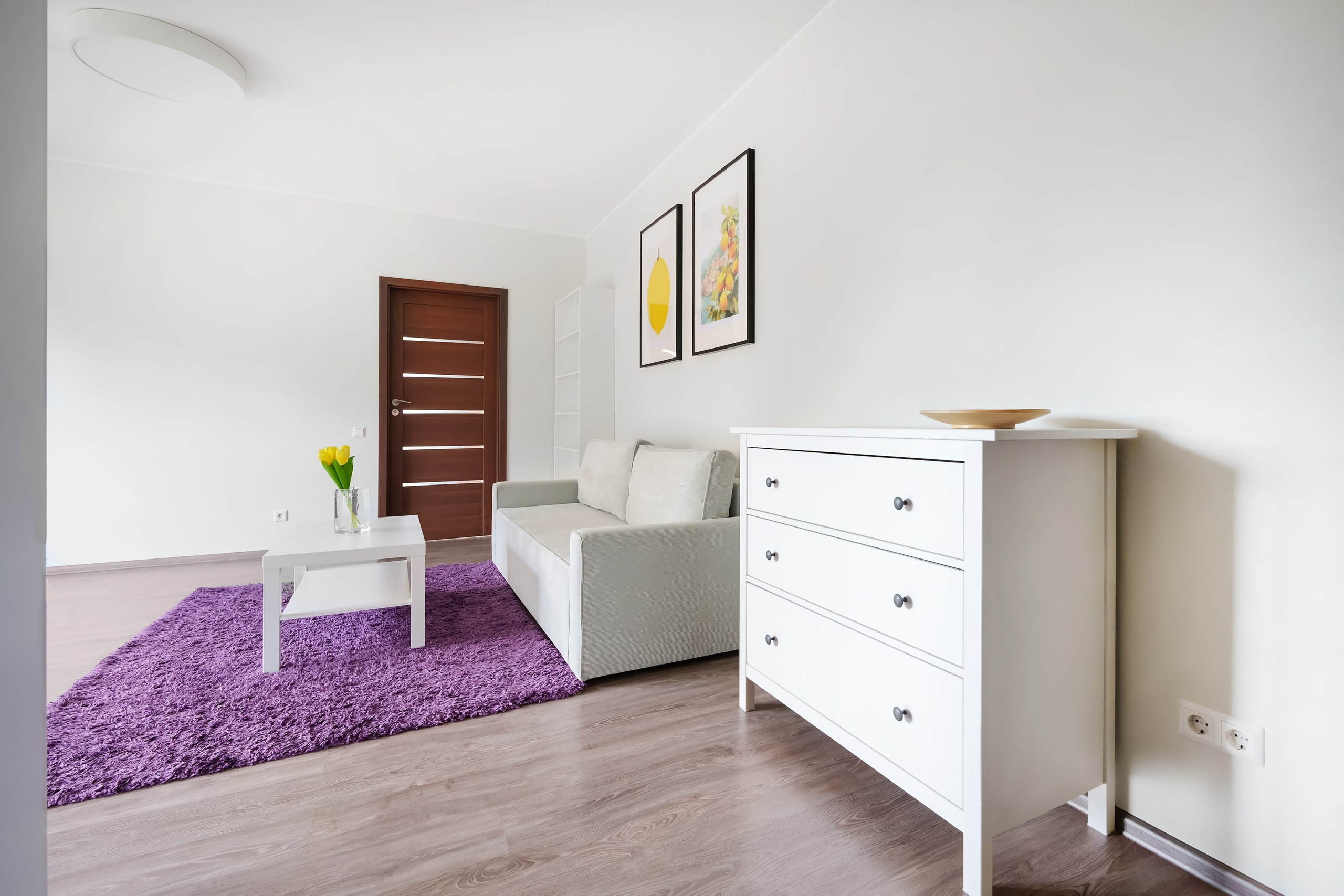 Balčikonio g. 7. Elina Sapiega fotografė Vilniuje