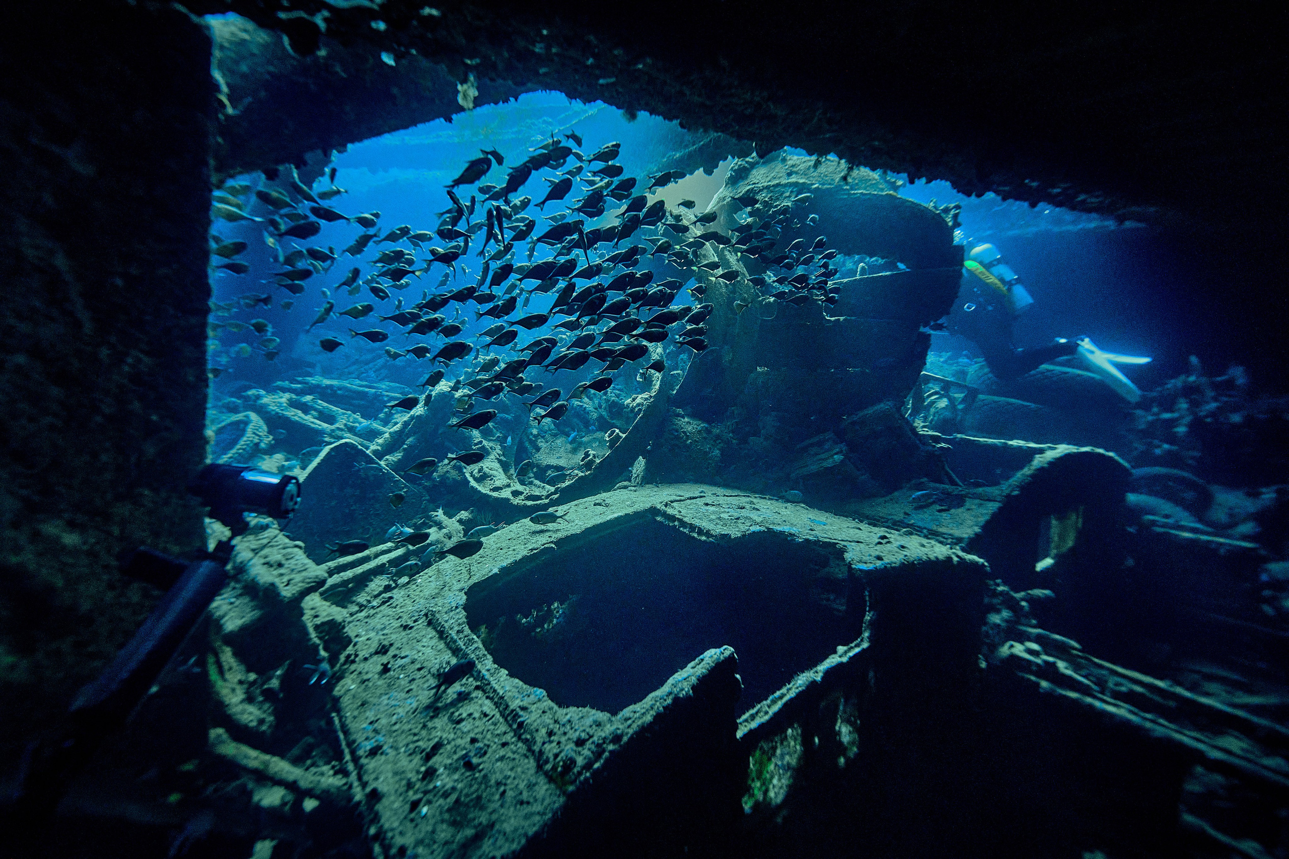 Underwater photographer Andriej Szypilow - photos of the mysterious SS Thistlegorm - sunken ship in the red sea