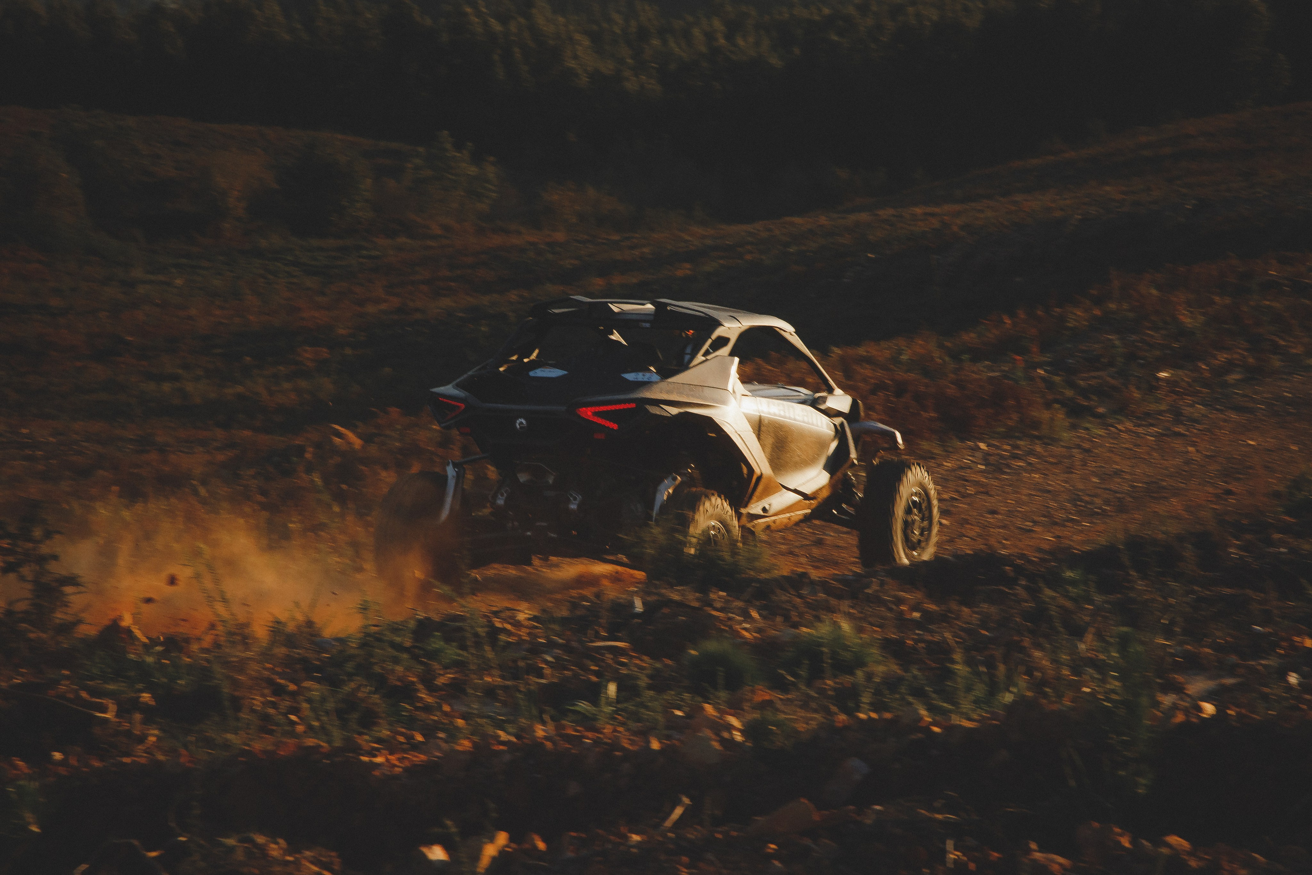 Reportage sport. Wedding photographer and videographer Europe