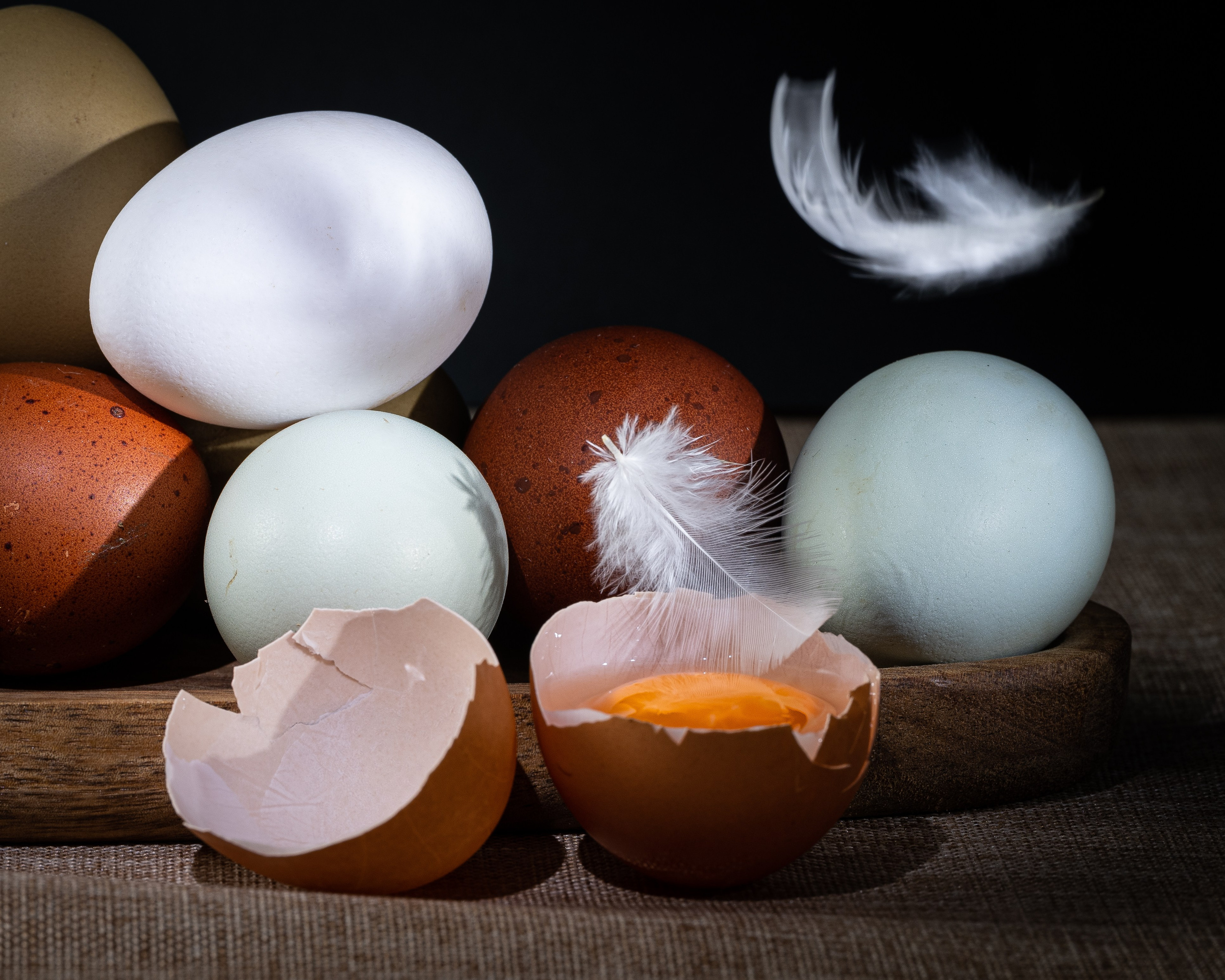 L’uovo. “Gianmaria Coscia fotografo per passione”