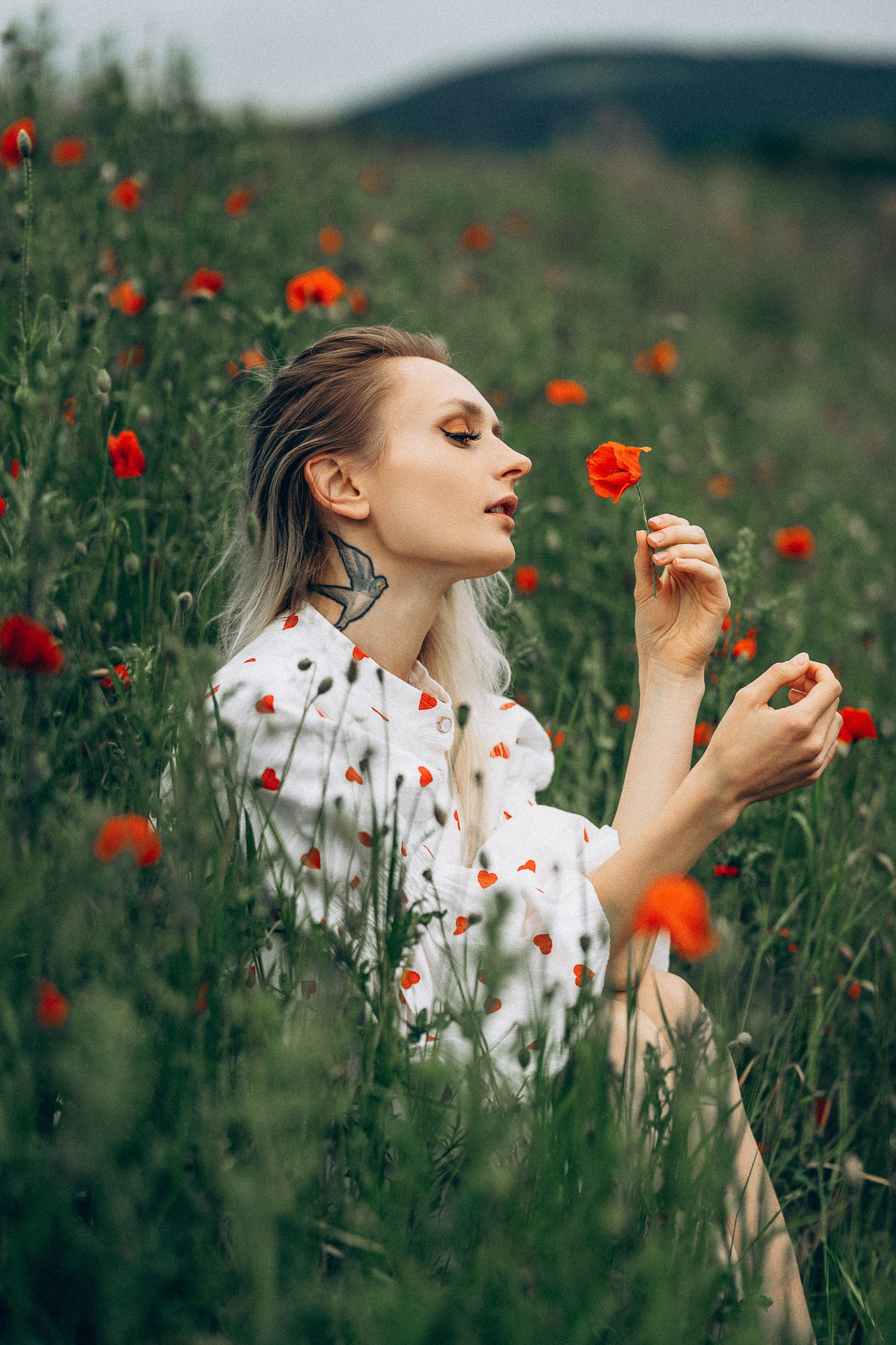 Mohnblumen. Pusteblumen. Familien, Lifestyle und Portrait Fotografin in Trier, Luxembourg