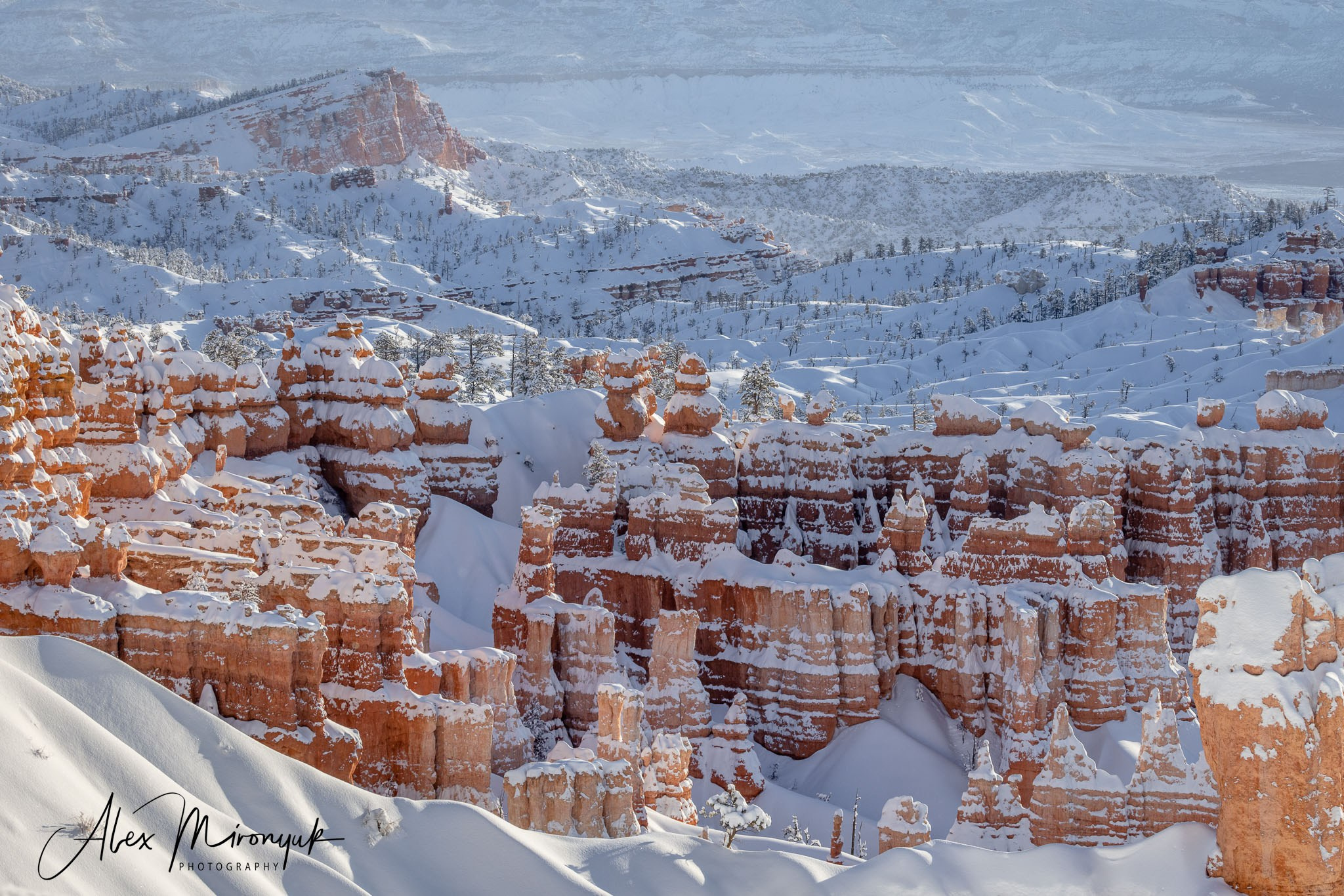 New Year In Utah. Pet, Senior, Landscape, portrait studio, photographer in Miami and Sou