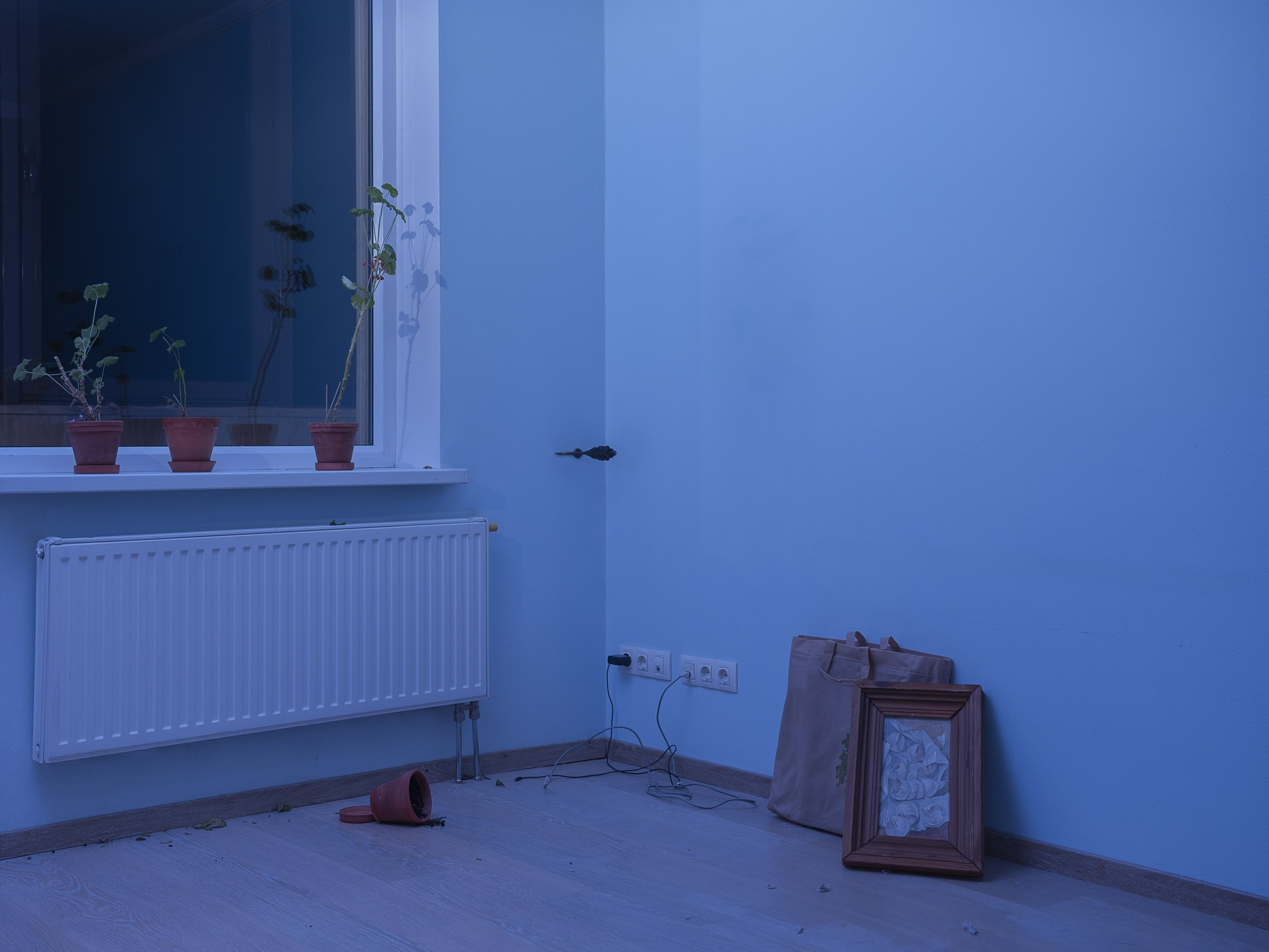 Occasional equilibrium. Marta Ladokhina