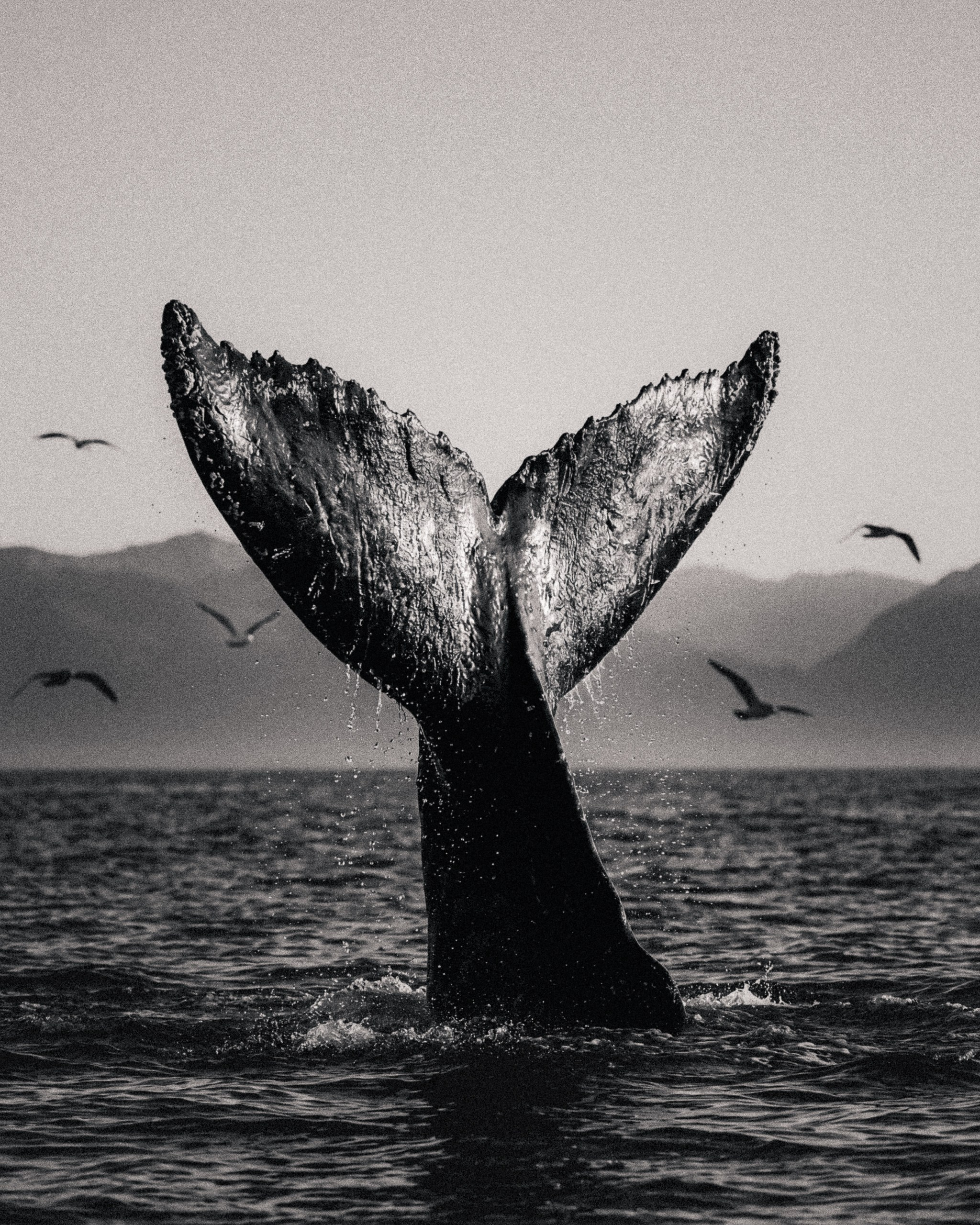 Photos of places around the World