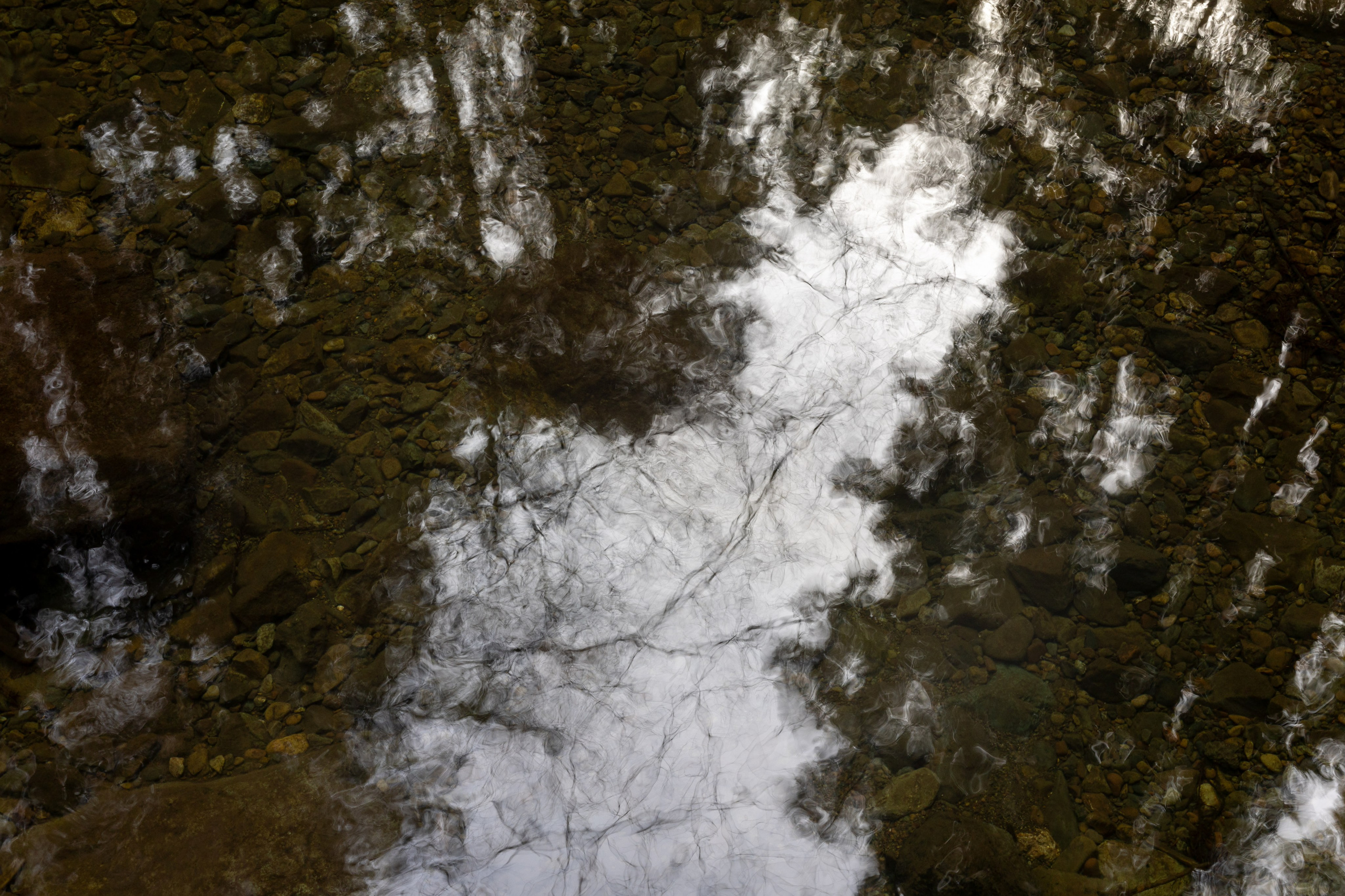 San Francisco. Aleks.photo | Book a photoshoot