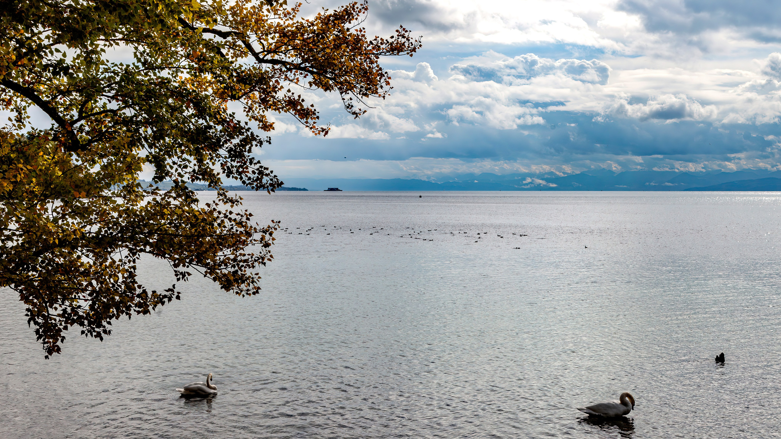 187.Mainau.Germany.24.9.2024. Путешествия в формате 360......