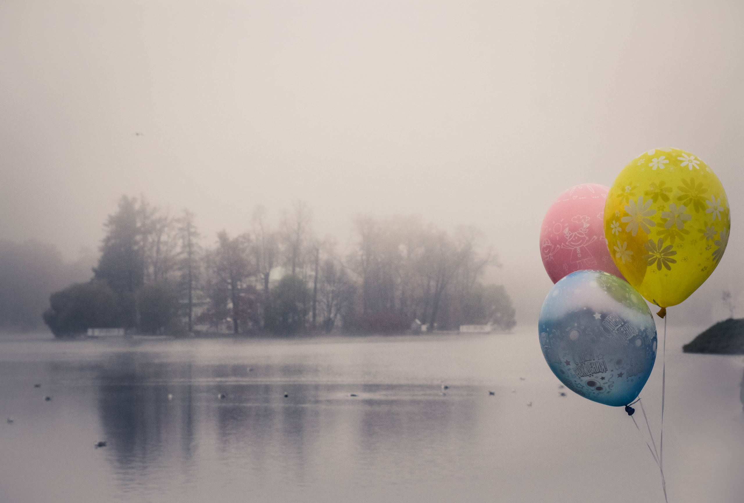 BEST OF. Стрит-фотография, полная абсурда, идиотизма и красоты