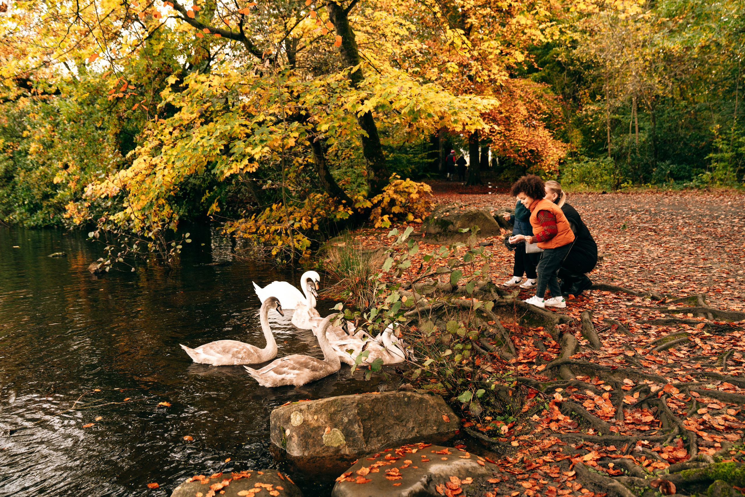 Bolam Lake family photography