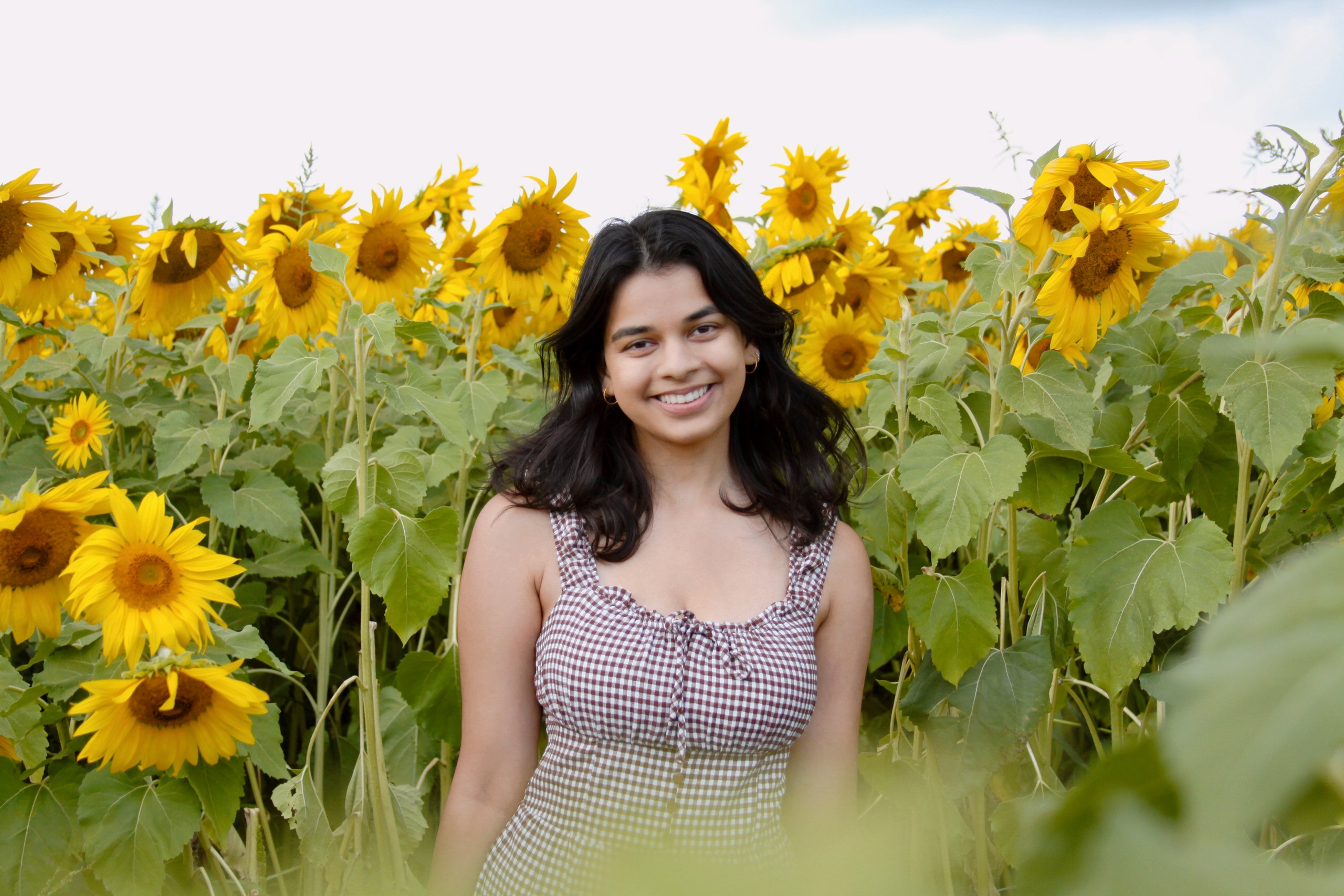 Sunflower farm shoot with Annie. Kelly Sang, graduation and portrait photographer in Boston