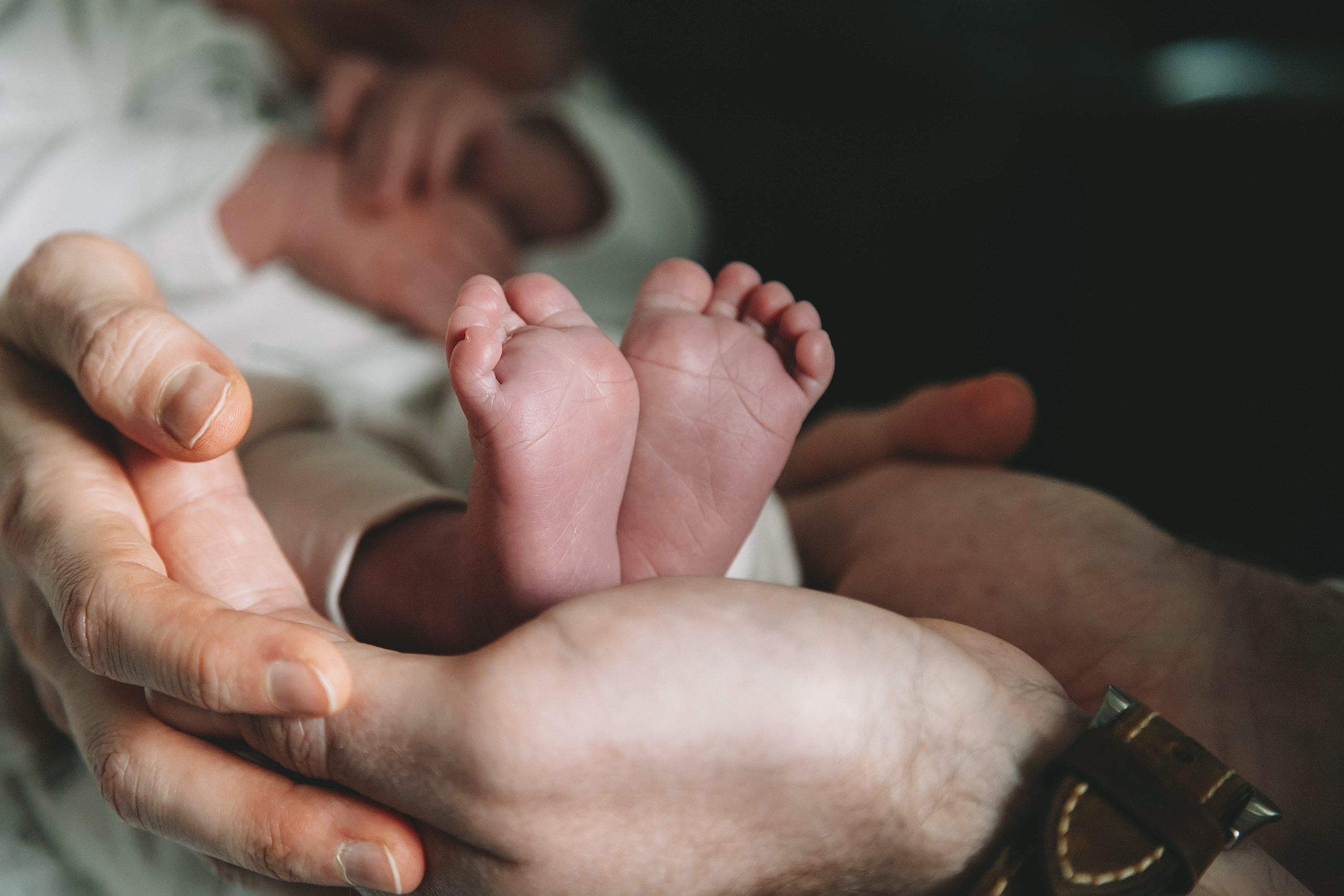 Familie. Hochzeit Fotograf Lyubov Sun
