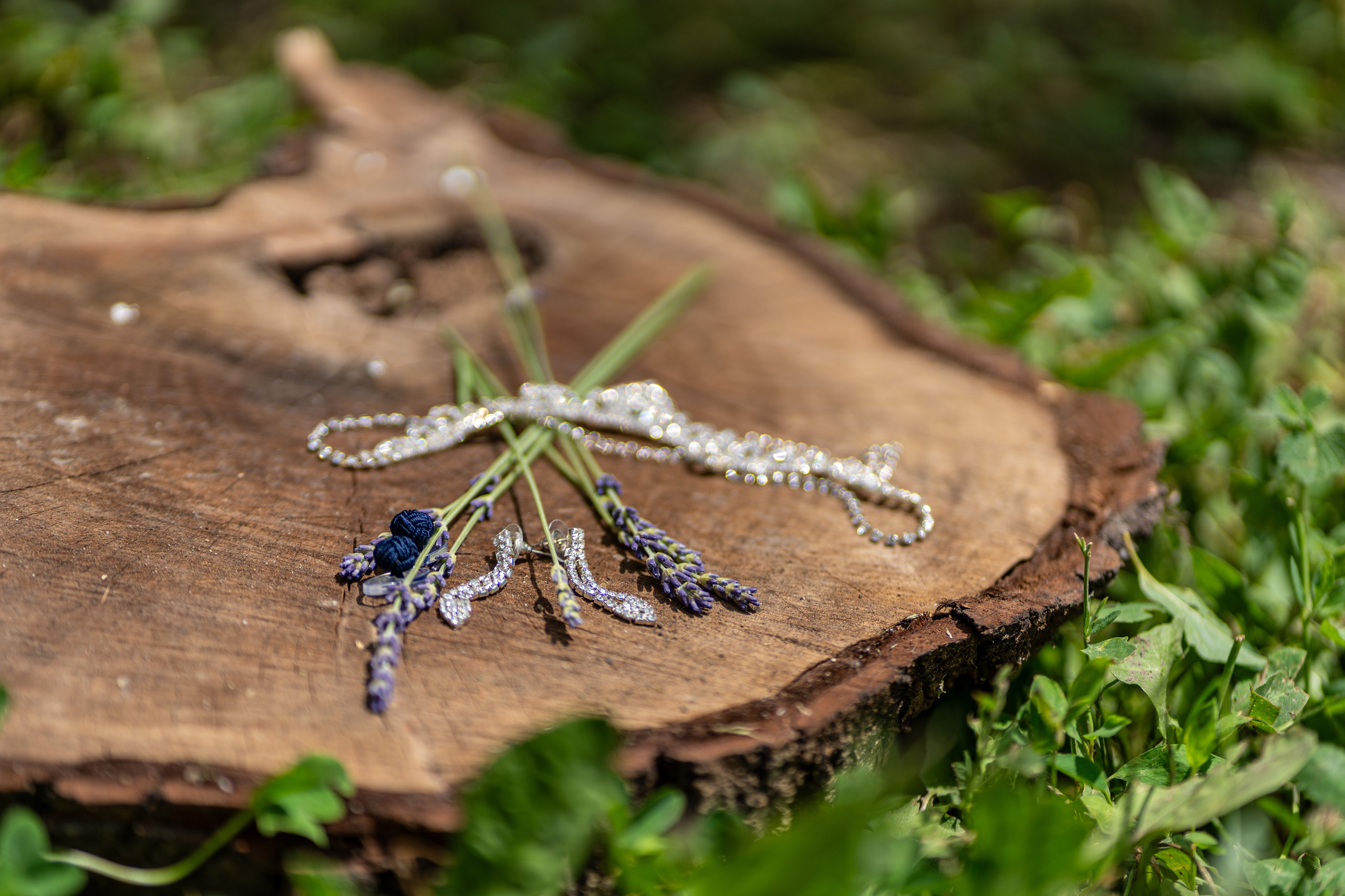 Dana & Ionut. Fotograf evenimente, fotograf nunta, fotograf botez