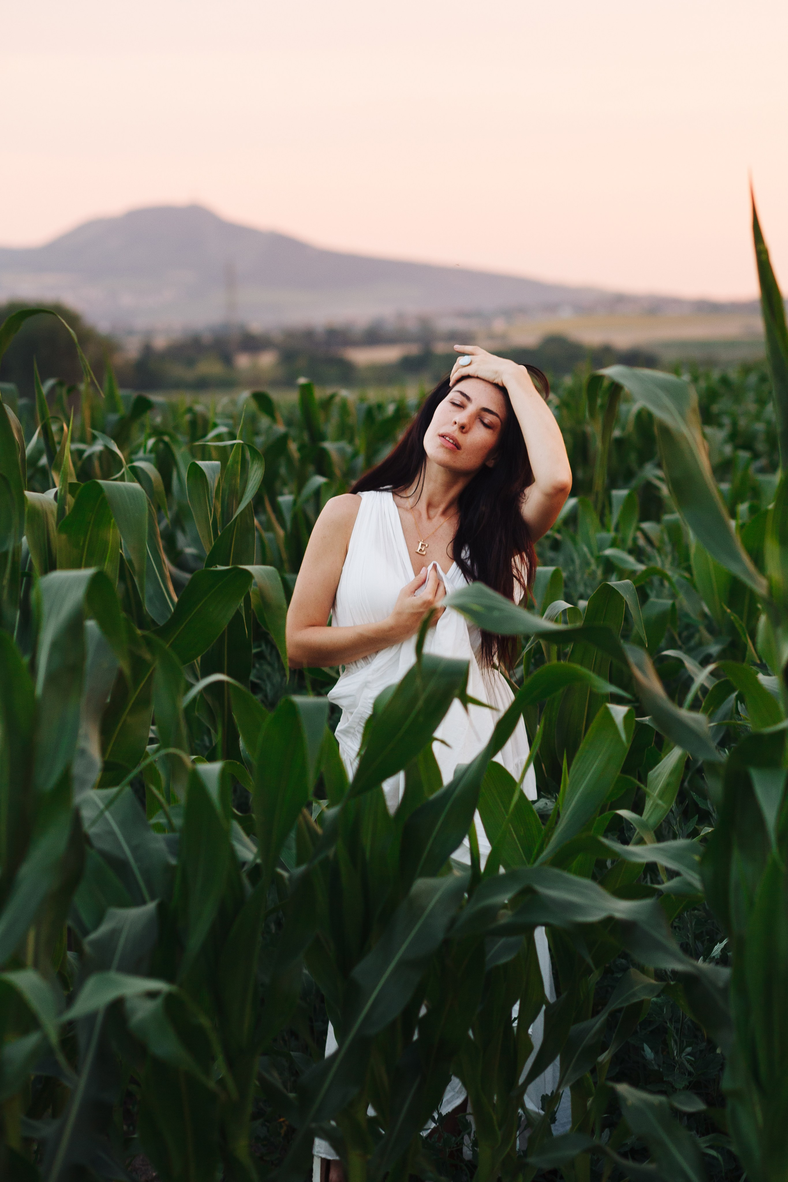 Lavender. Photographer in Prague for tourists