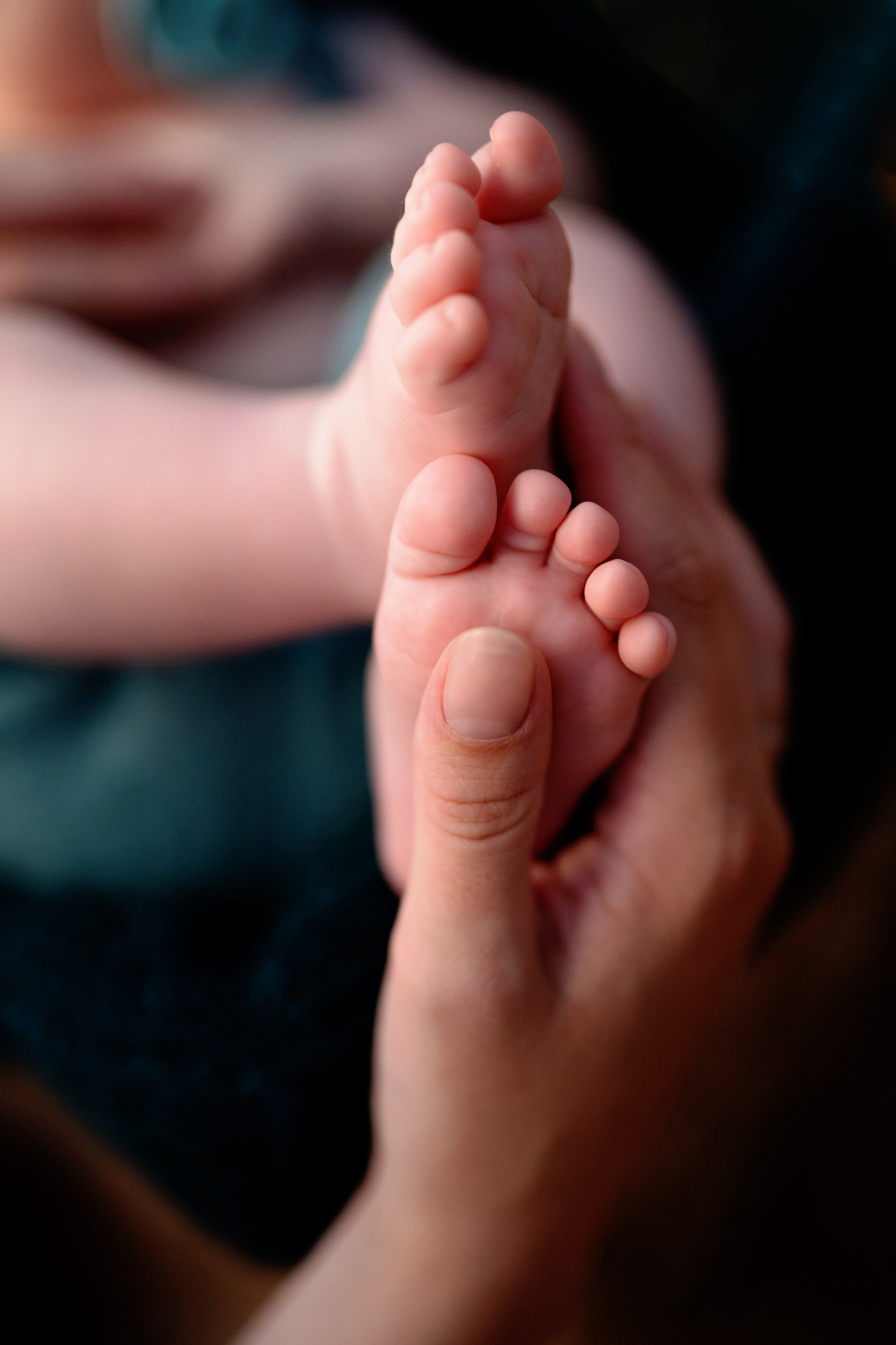 Давид (3 месяца). Фотограф новорожденных и детей первого года Евгения Михалькевич