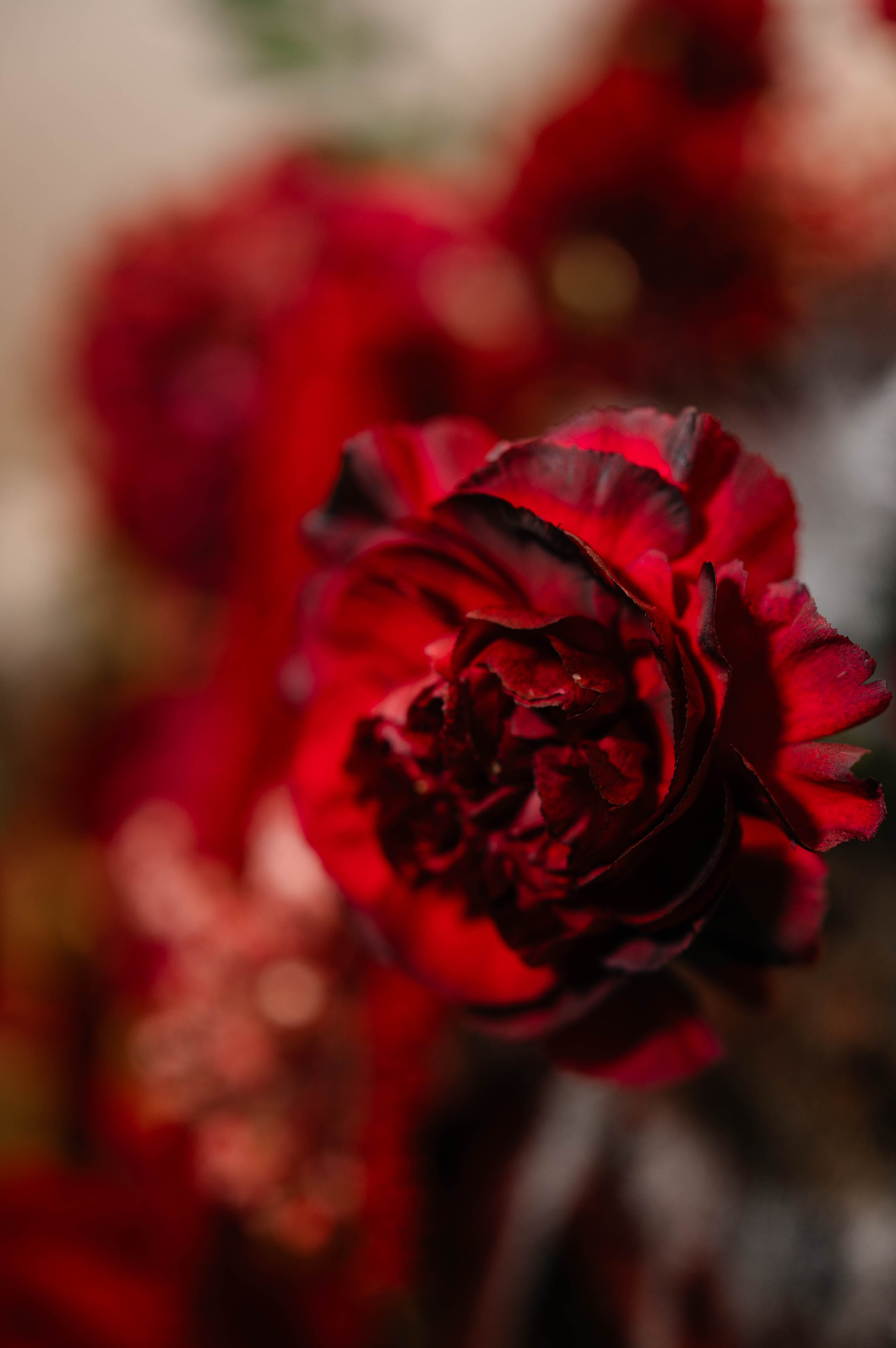 Cristina + Dan | Autumn Wedding. Alexandra Hanu Photographer