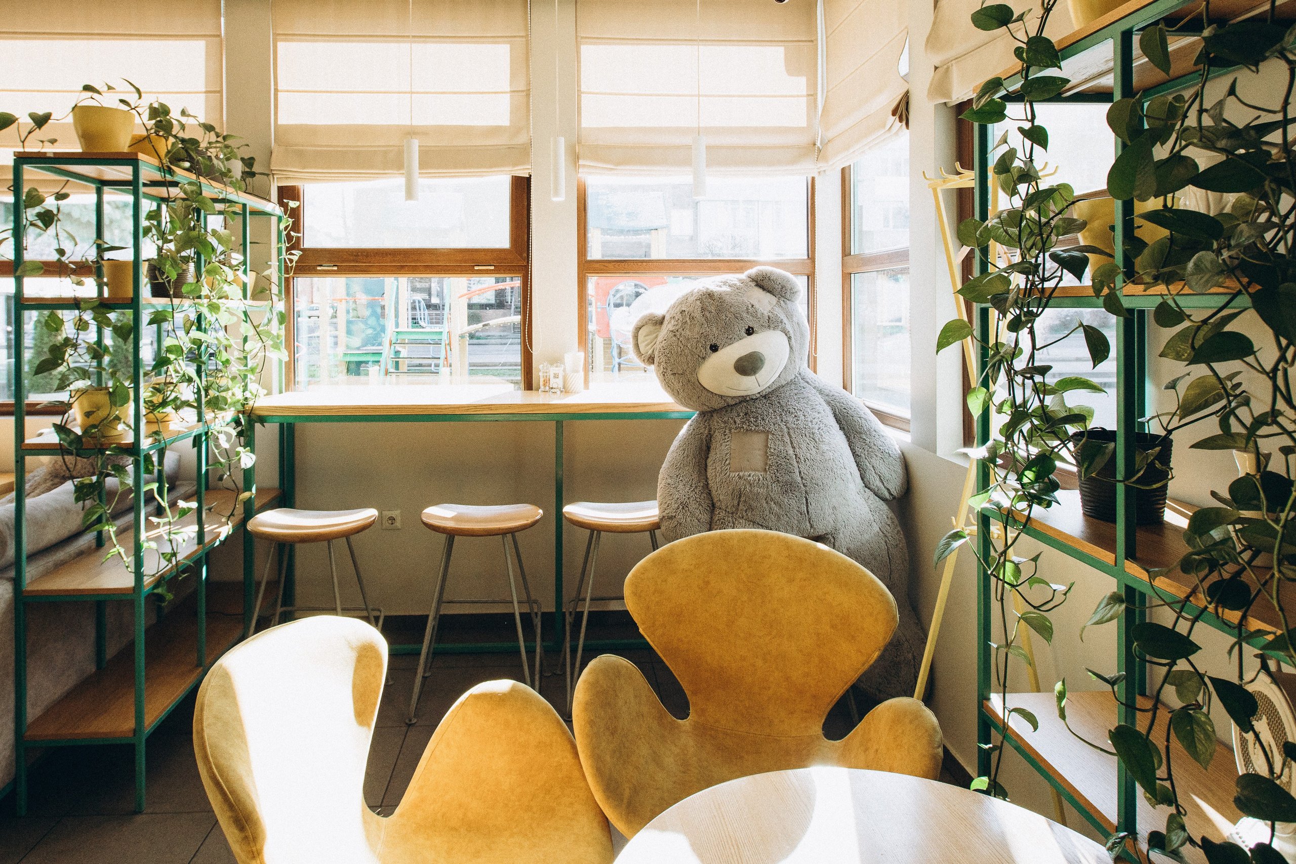 Мережа ресторанів Classic. Ірина Терещук