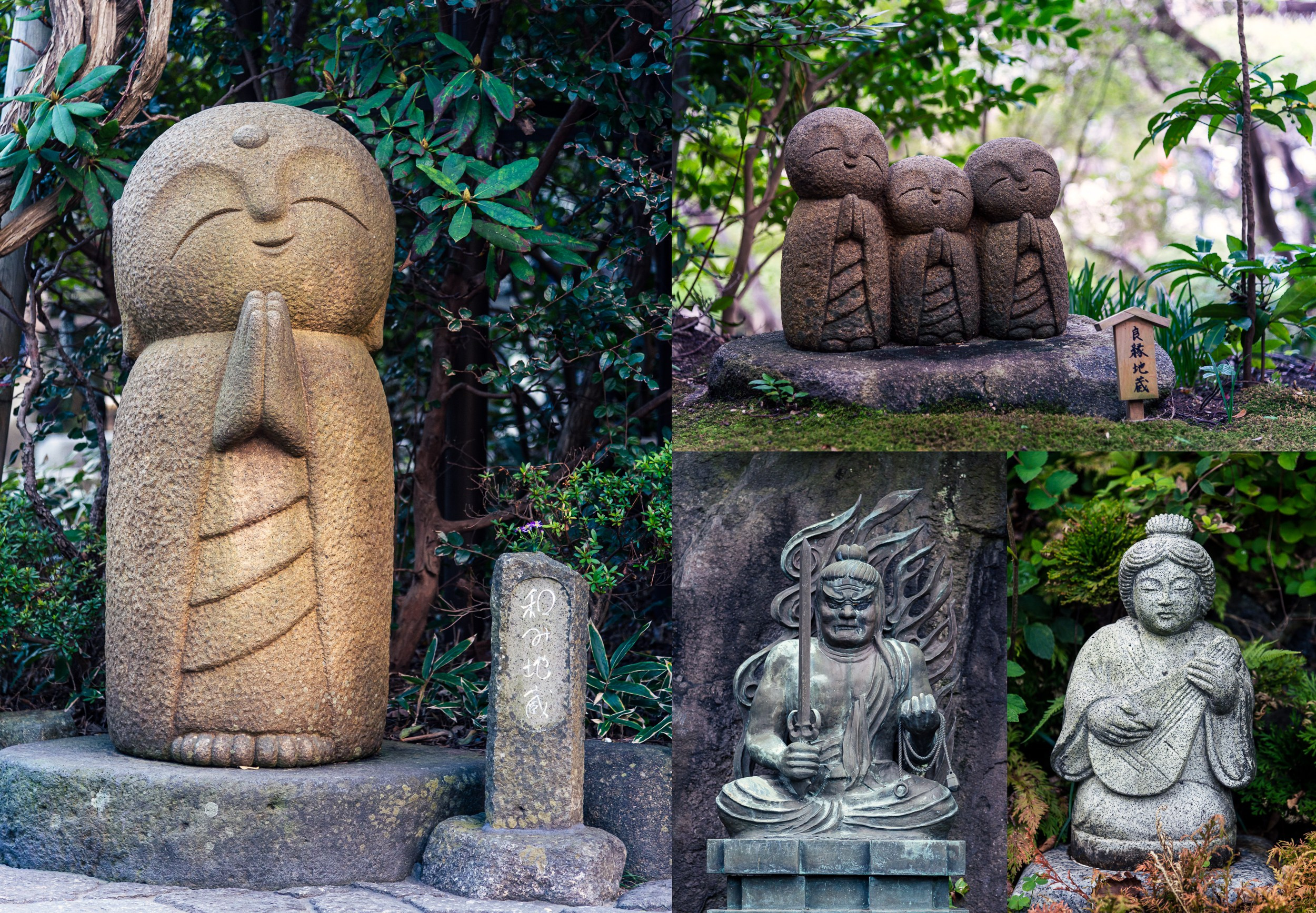 Japan. Marius Ciocan