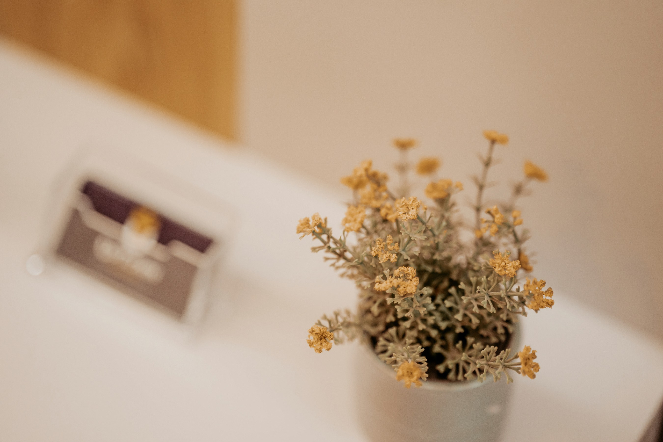 UpTowers - Imobiliare