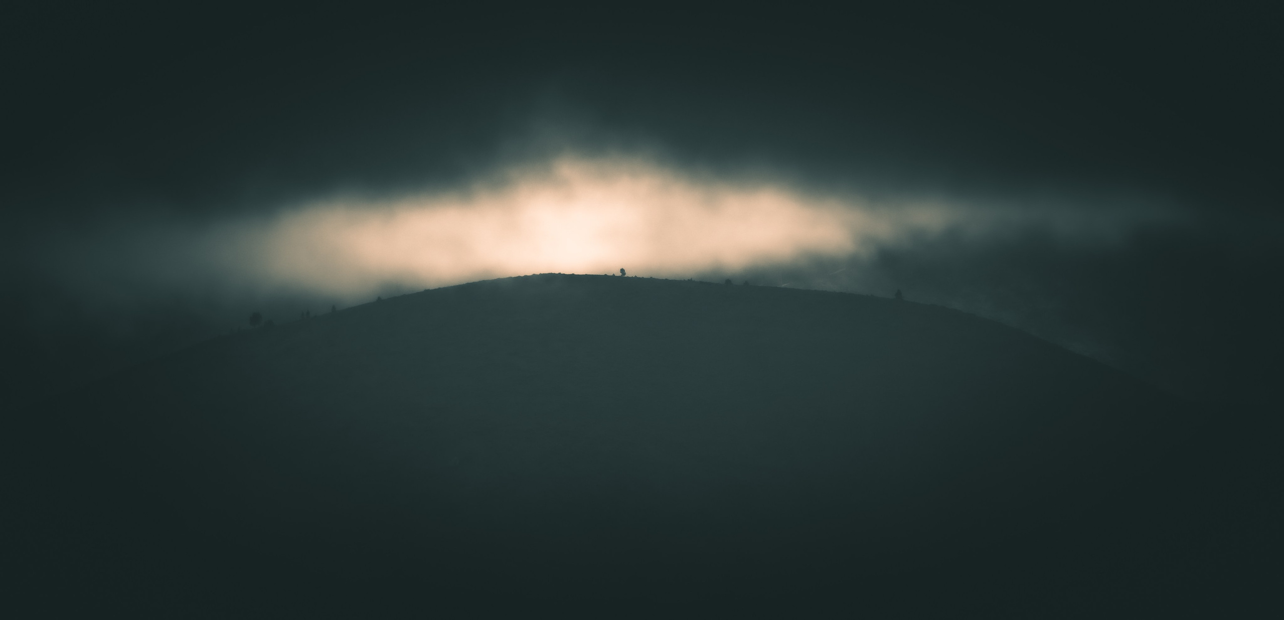 Paulo Marques Photography