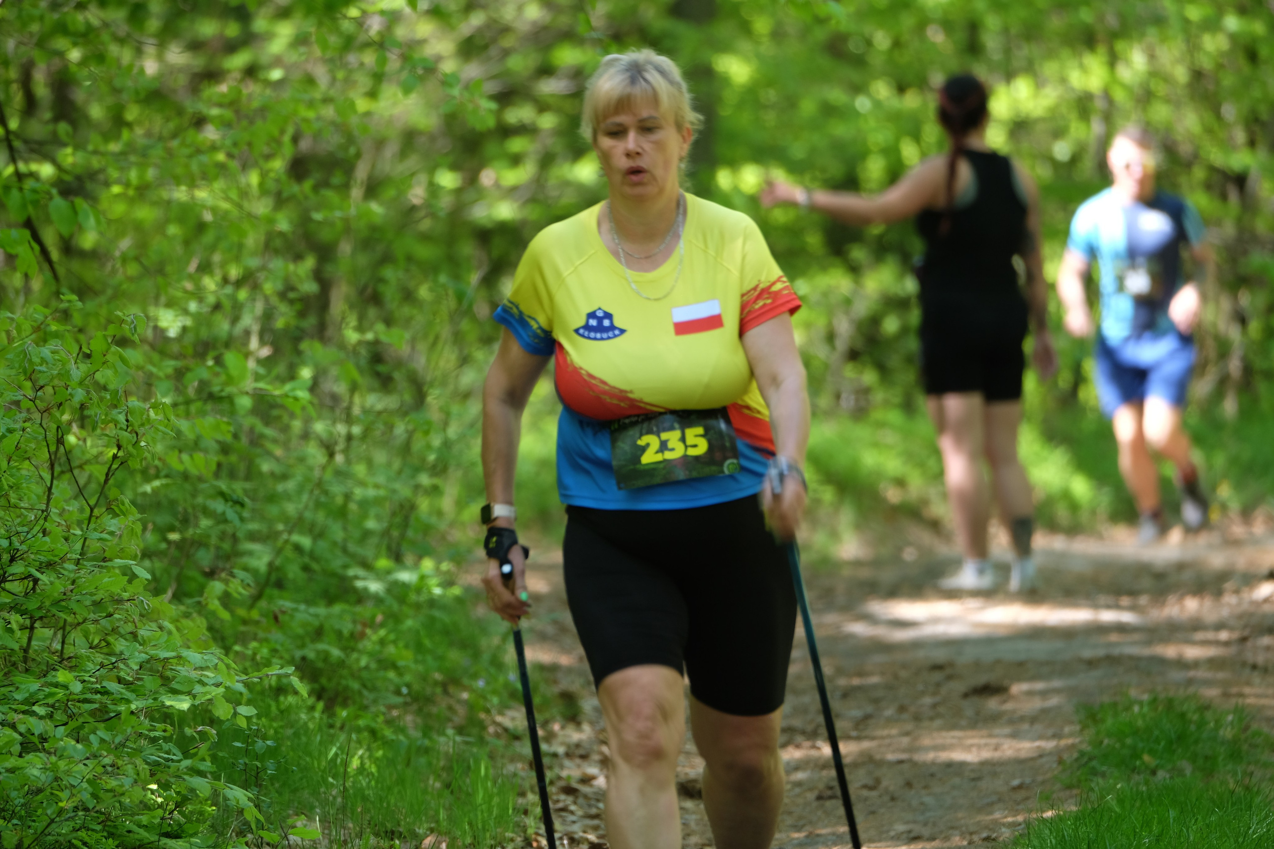 Aleksandryjska Piątka po lesie. Main