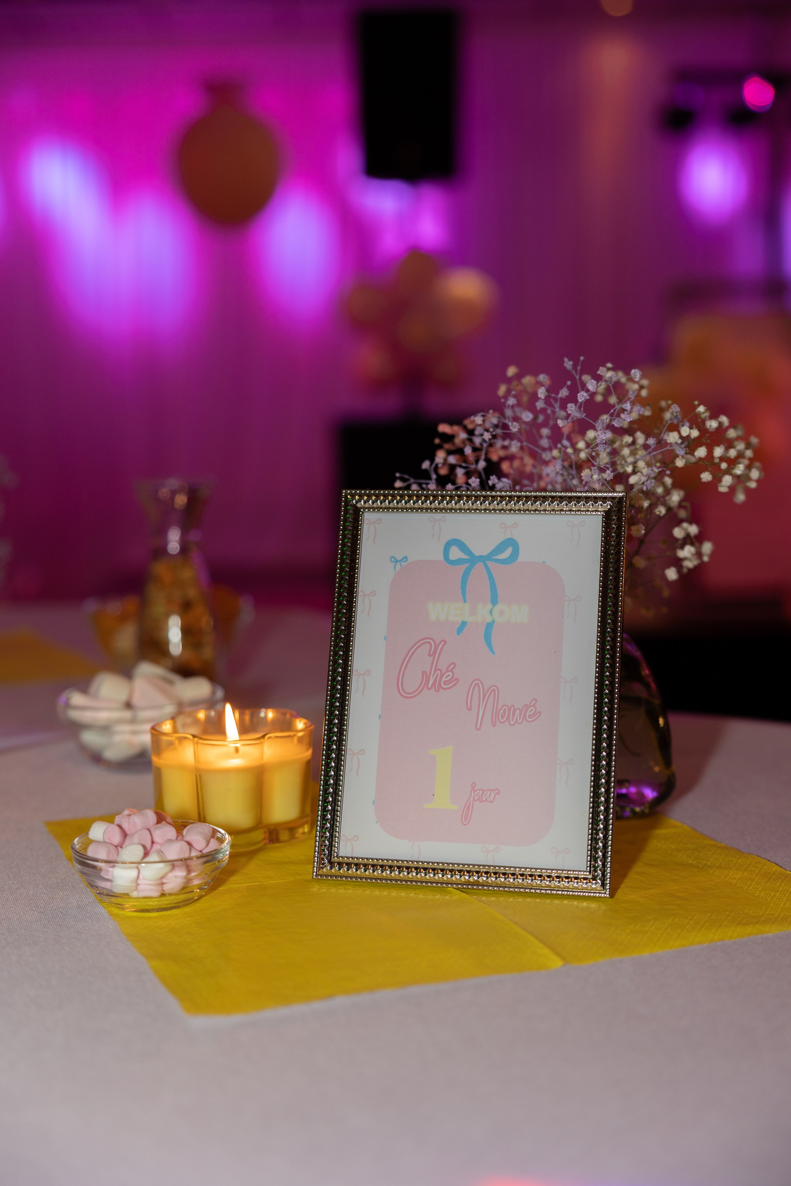 1 st Birthday. Portrait and Family Photographer in Netherlands