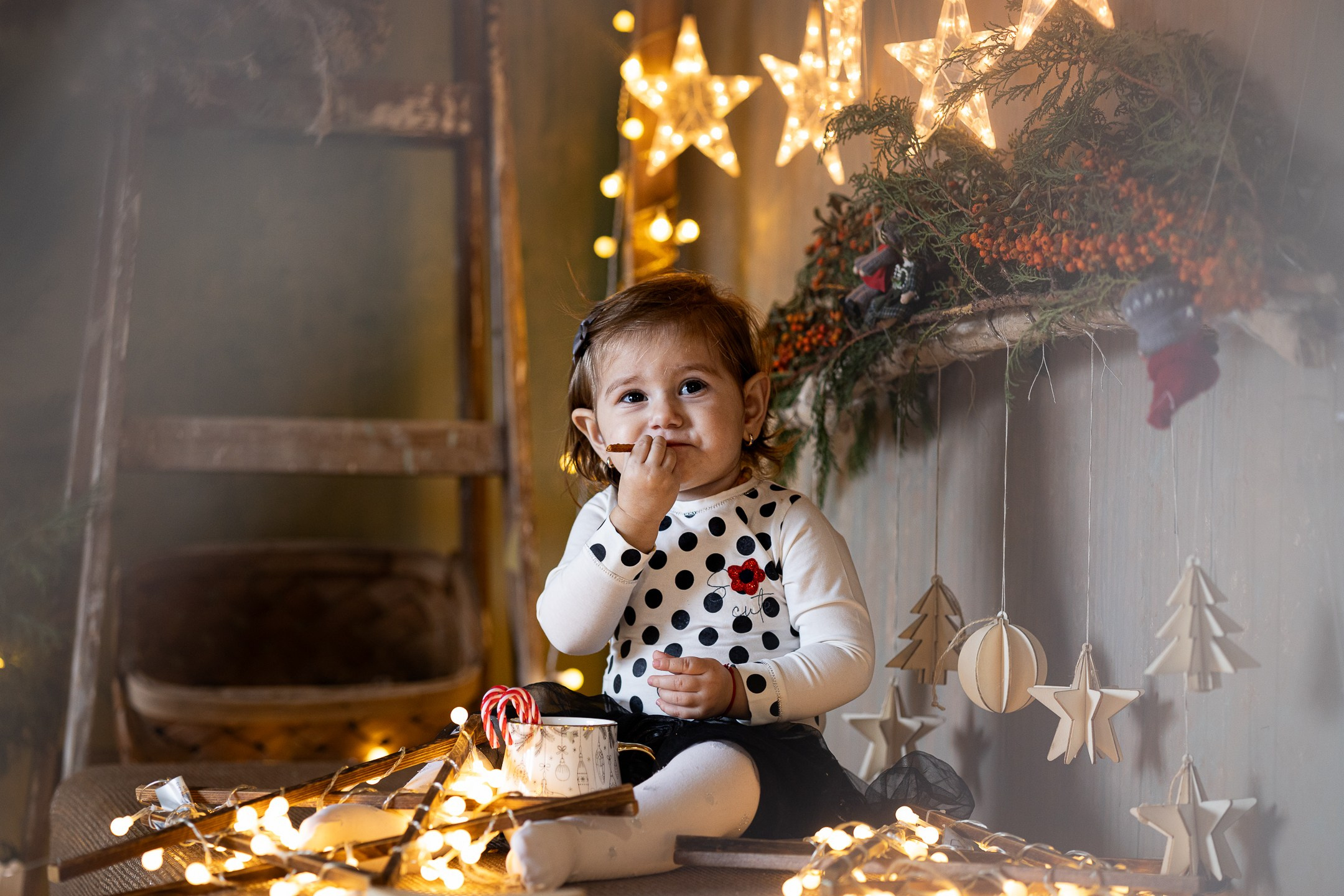 Novogodišnje fotografisanje Novi Sad