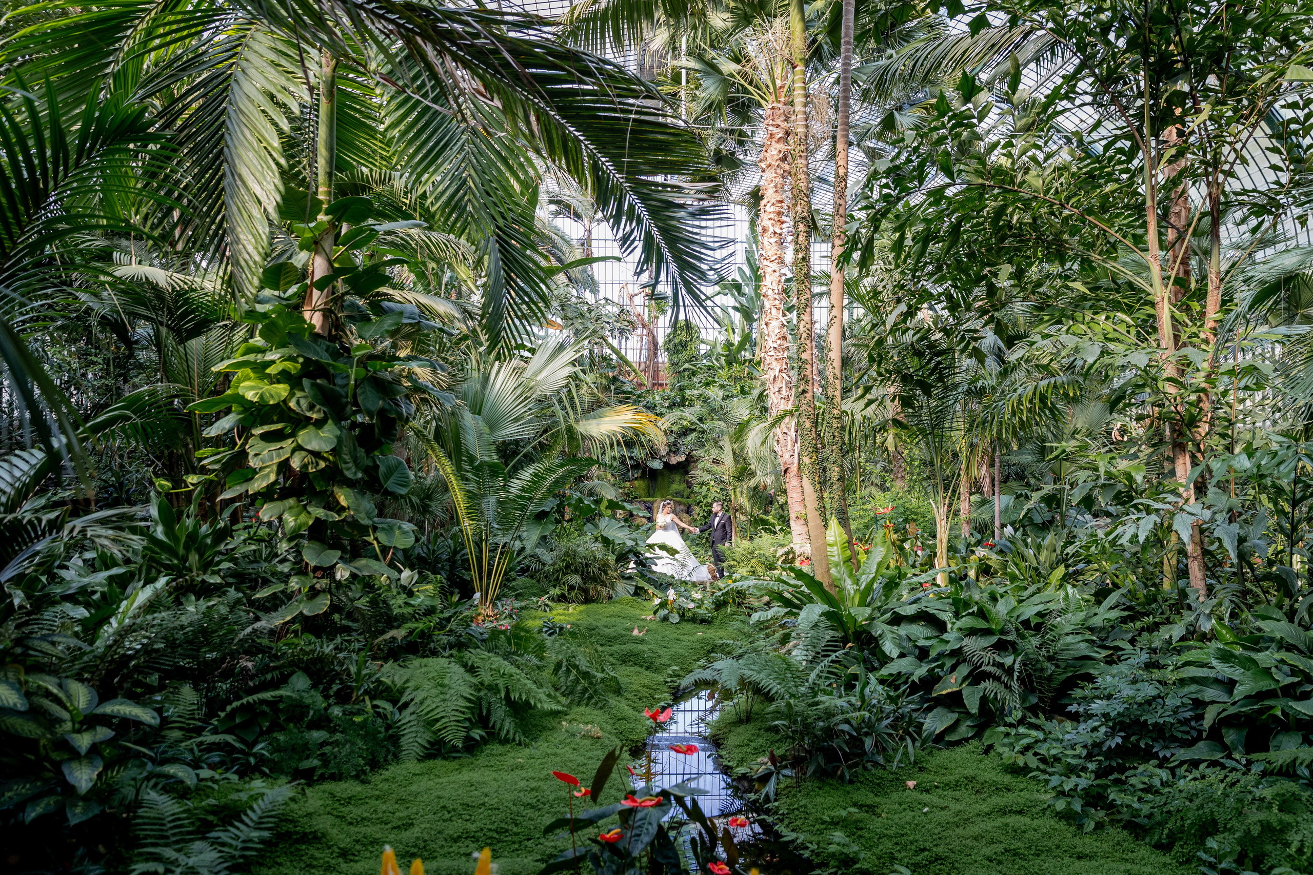 Ahmed und Emine. Wedding Stories — Professional Wedding Photography & Videography in Germany, Italy, Spain & all across Europe