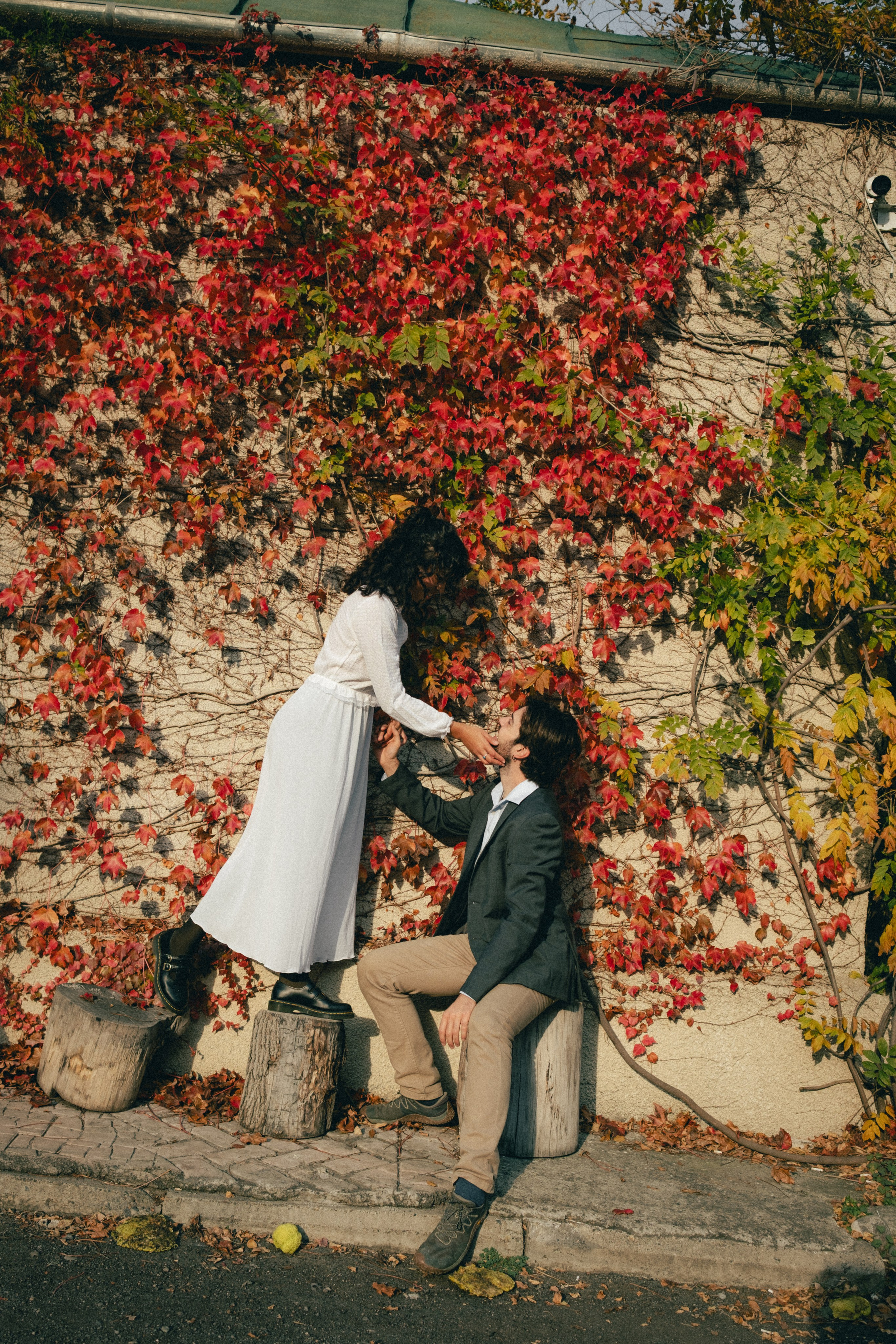 Botanical garden | Alessandro & Johanna. Главная