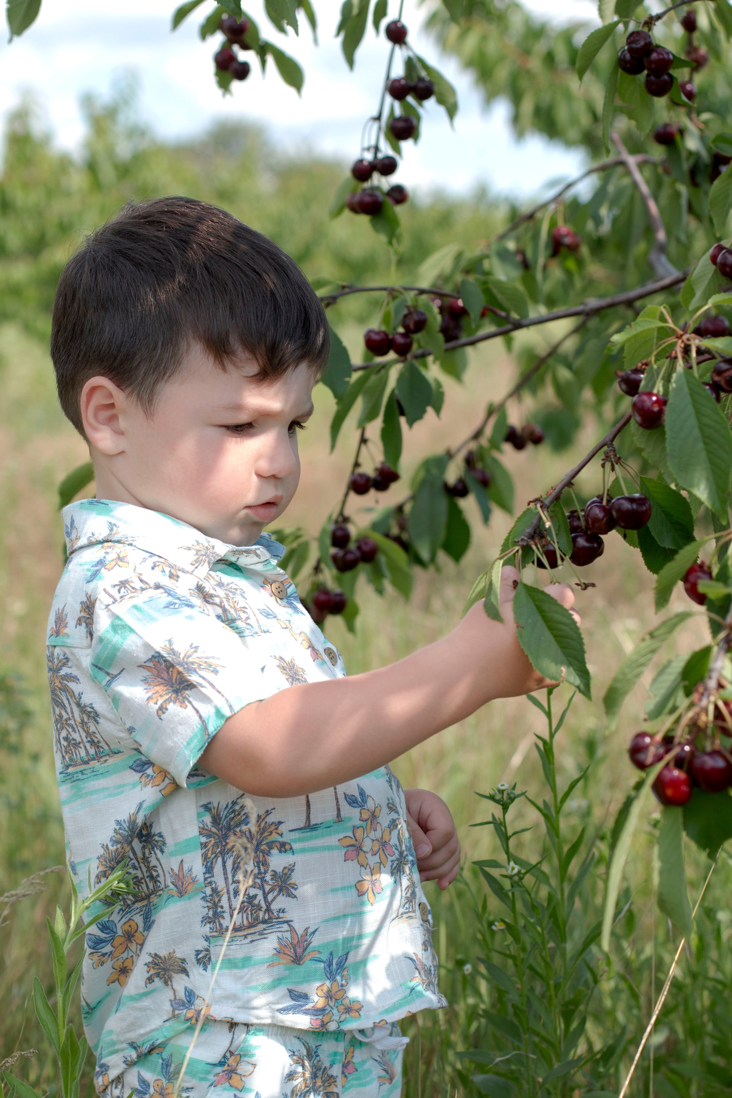 Черешня. Детский и семейный фотограф в г. Бельцы
