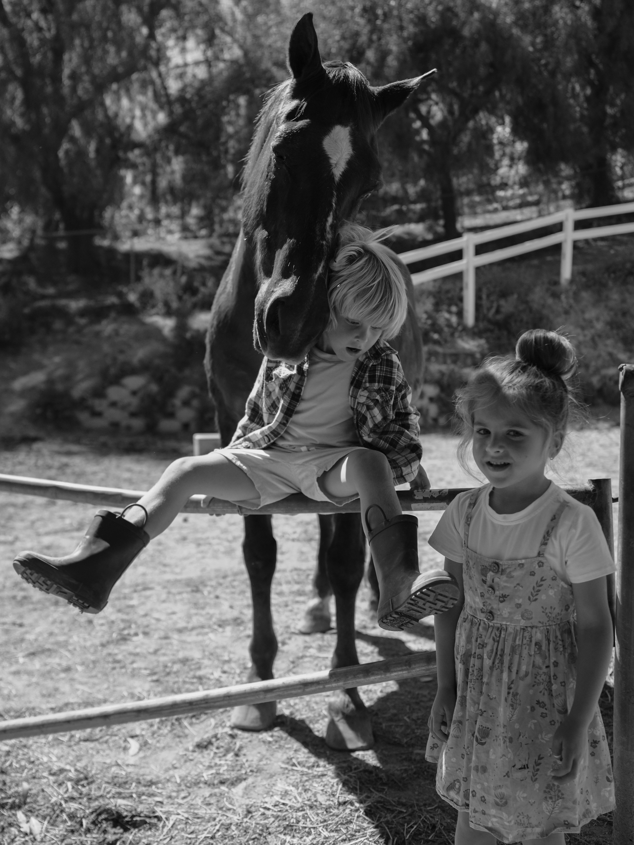 Children with horses. Фотограф и видеограф в США (и по всему миру) — Татьяна Иванова