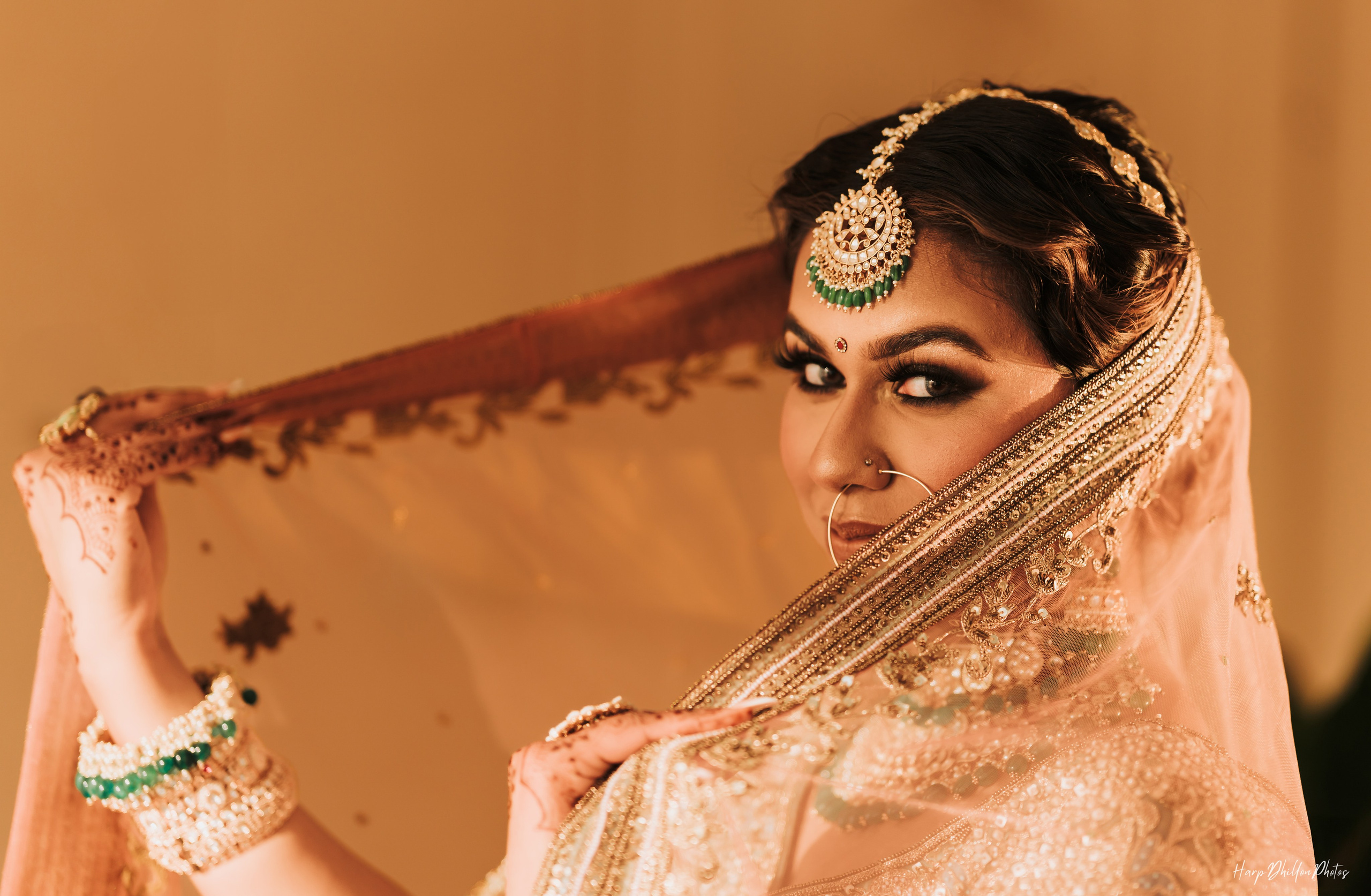 Portfolio. HarpDhillon Photos