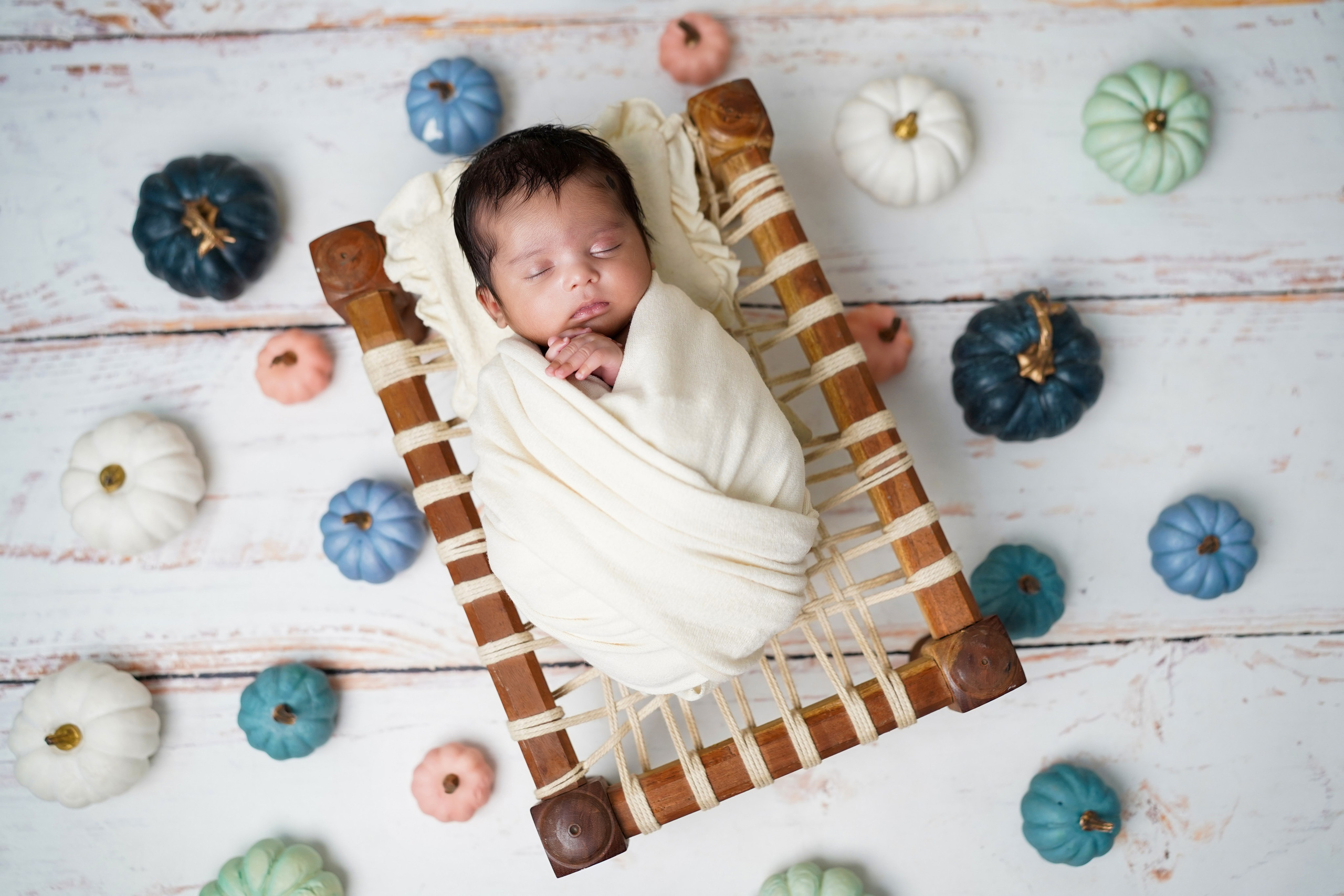 New born. TNF photo & filming