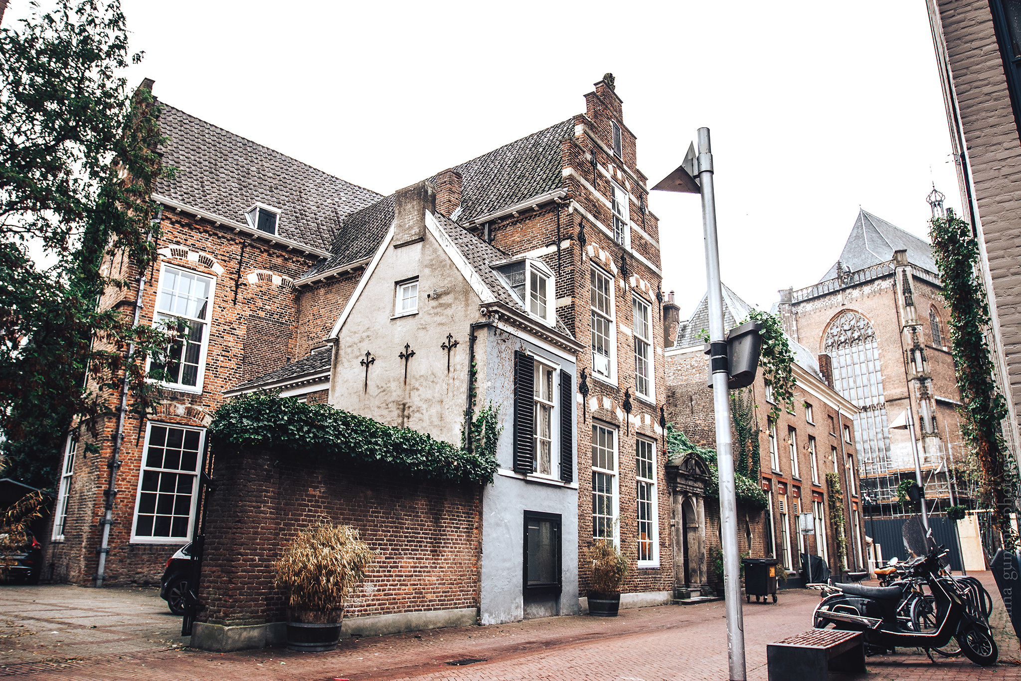 ARNHEM. Amina Gunenc - bruiloft- en familie fotograaf in Nederland