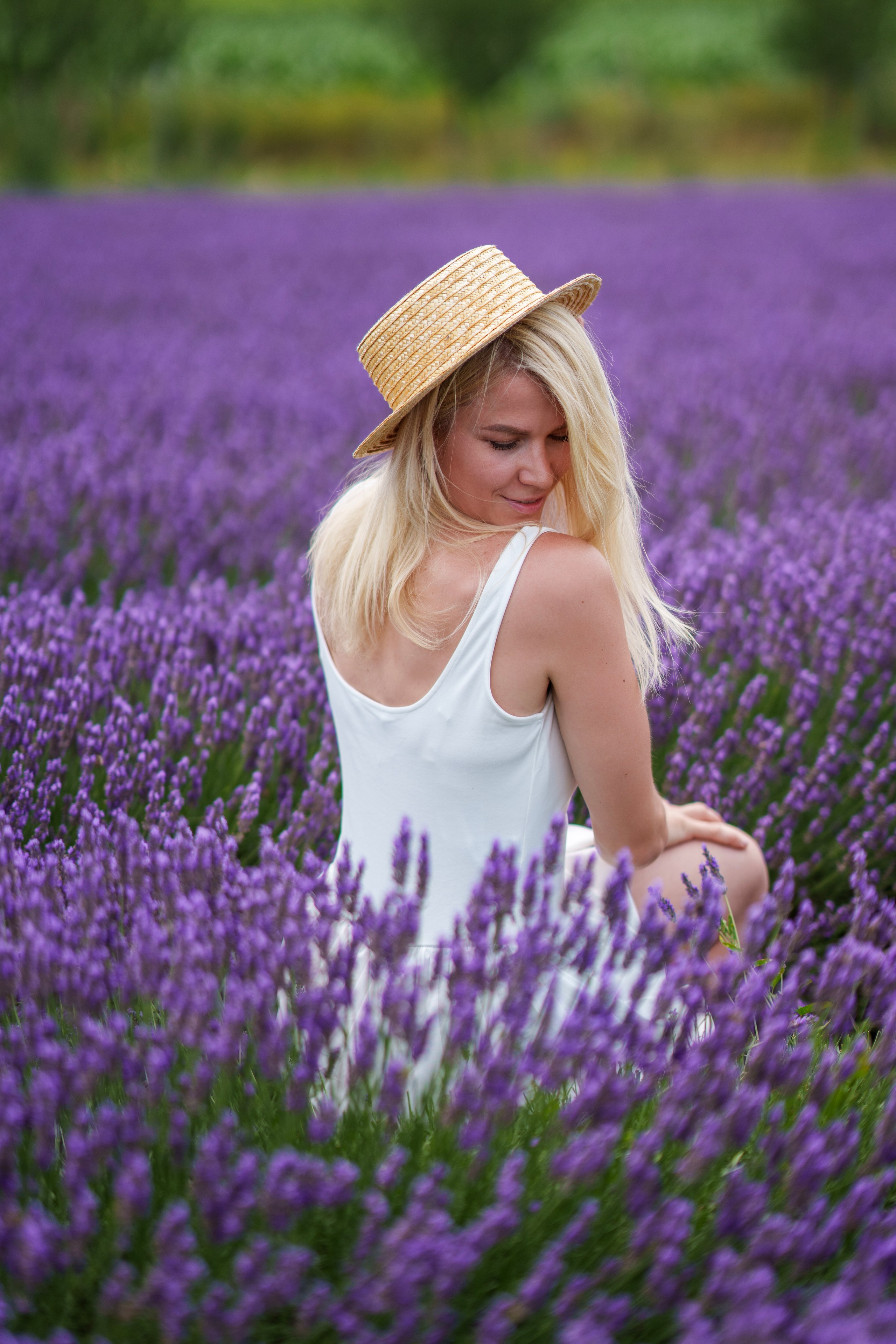 Lavelender — Marina. Nelly Bijeva Photography