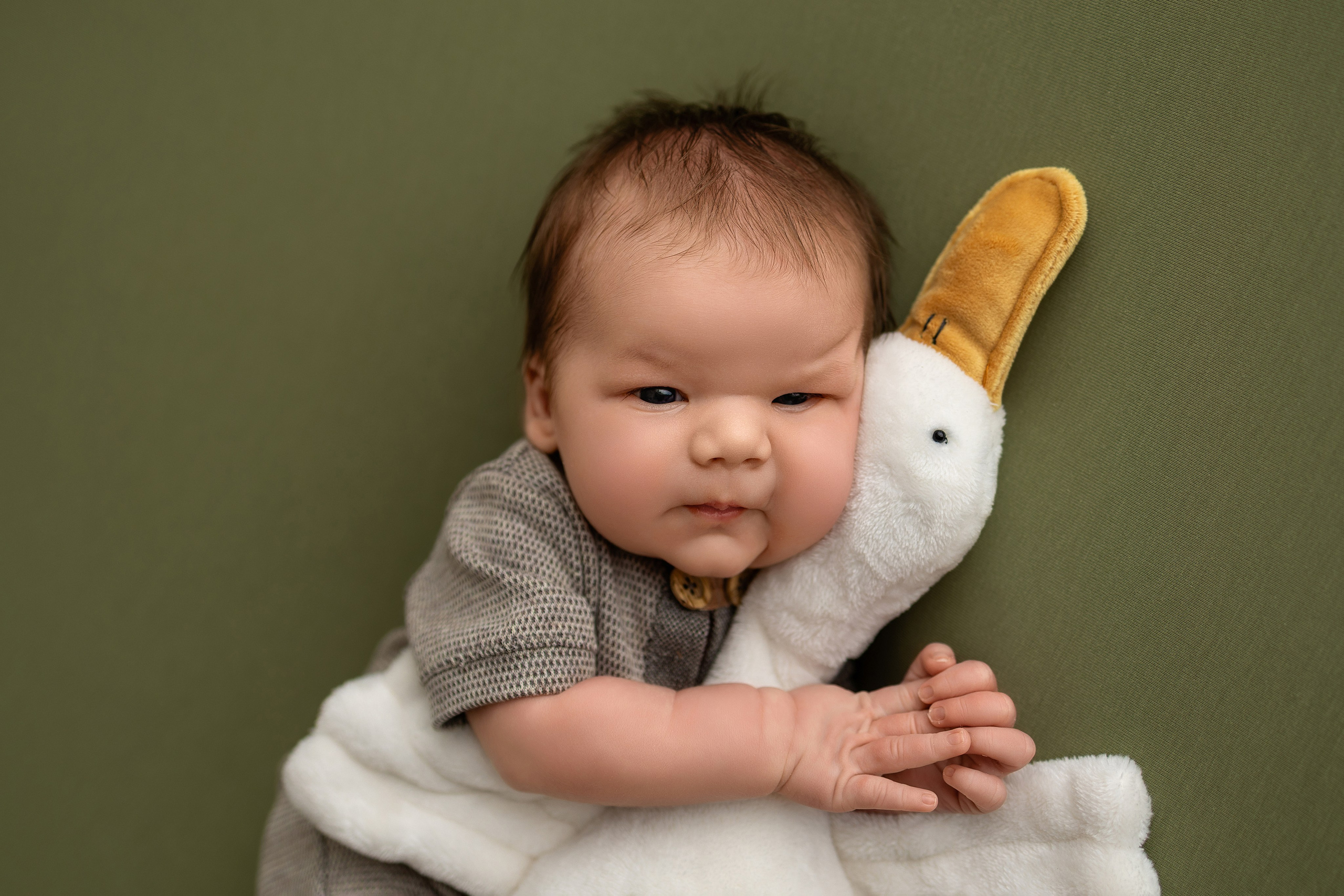 Neugeborene. Neugeborene- Schwangerschaft- und Kinder Fotografin in Lehre