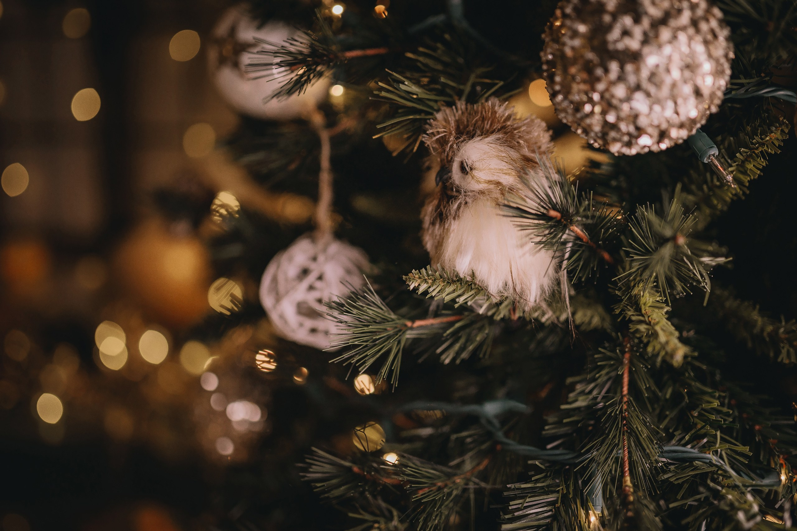 11.26.2025 Christmas Photoshoot. Wedding family event photographer in Chicago Nick Yushevich